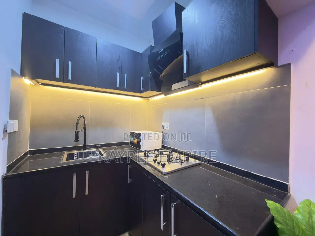 Furnished Studio Apartment in Garki for rent in Garki