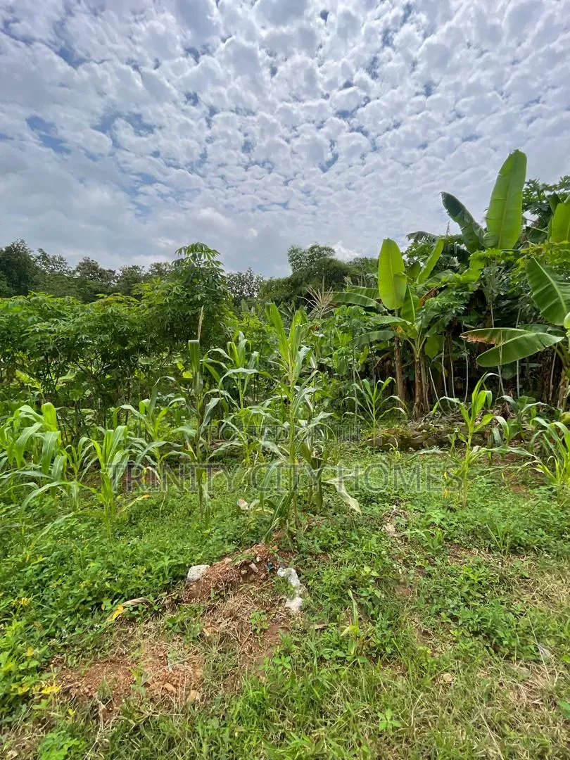 9 Plots of Land Available for Sale at Arapaja Ibadan. 1min to Road in Odo Ona