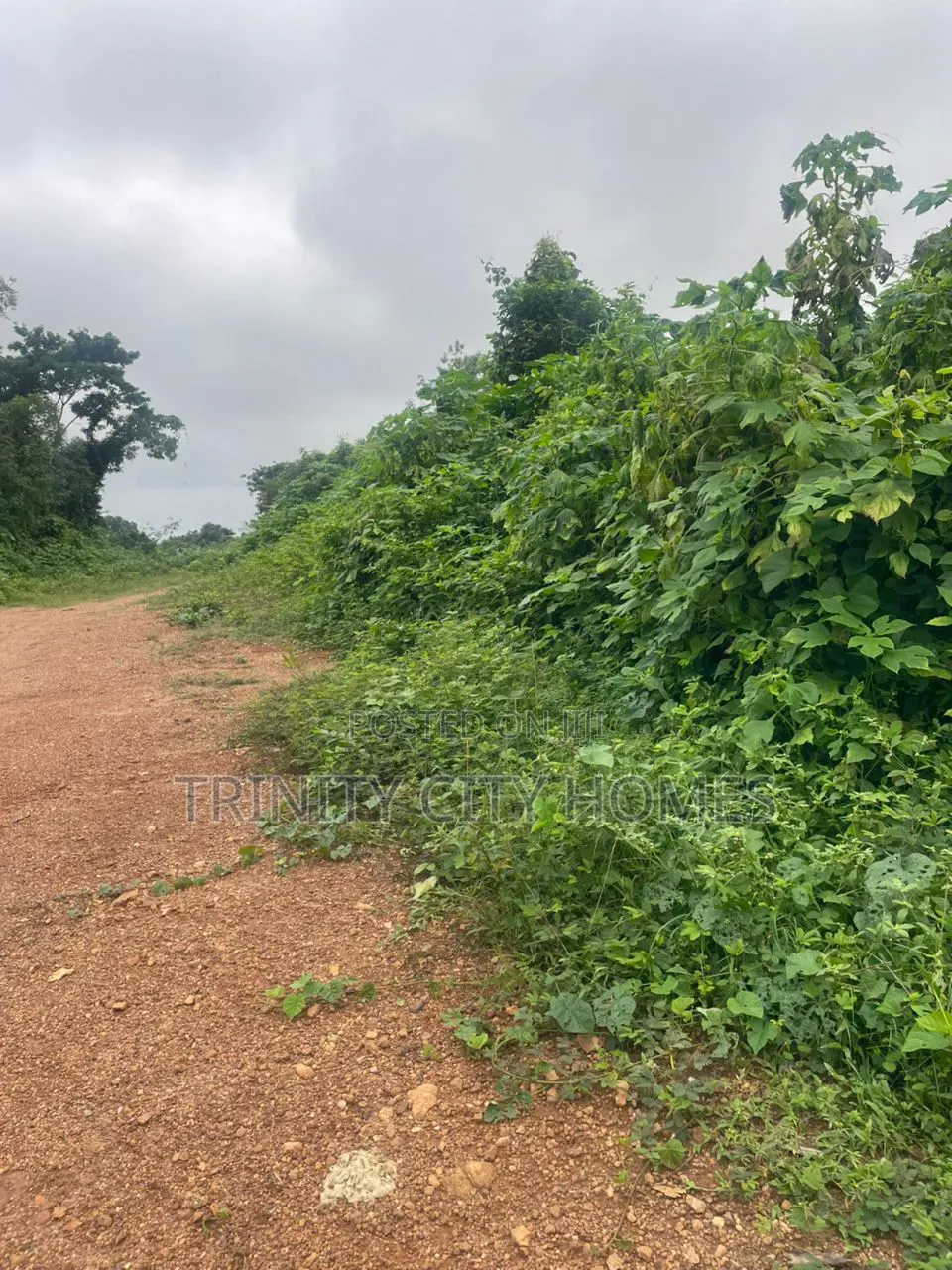 9 Plots of Land Available for Sale at Arapaja Ibadan. 1min to Road in Odo Ona