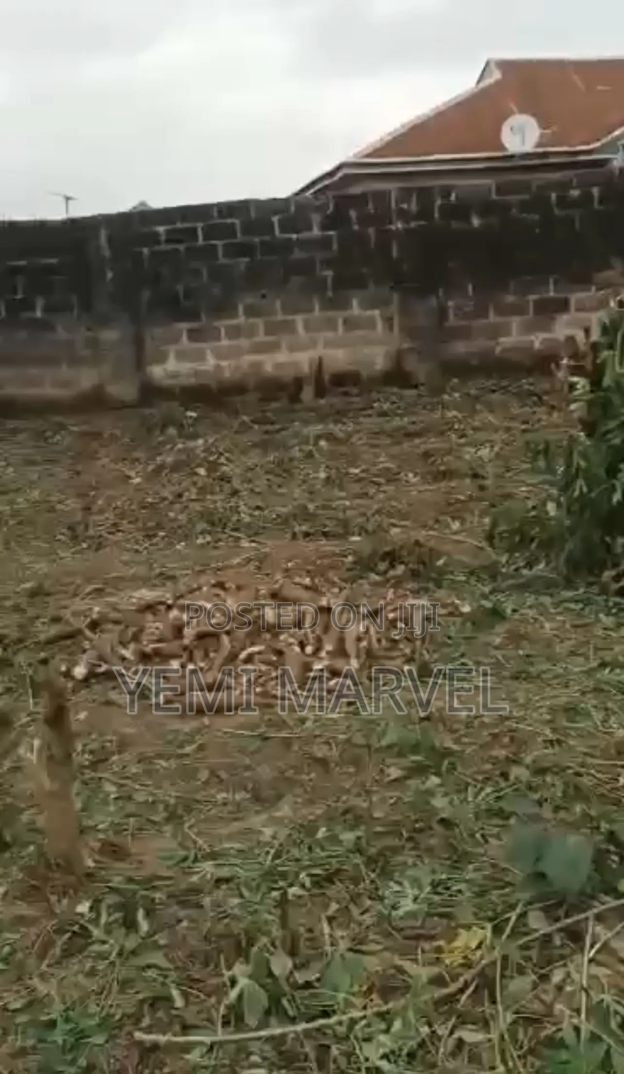 Fenced and Gated One Plot of Land at Adeoje Estate, Akala Express in Akala Express