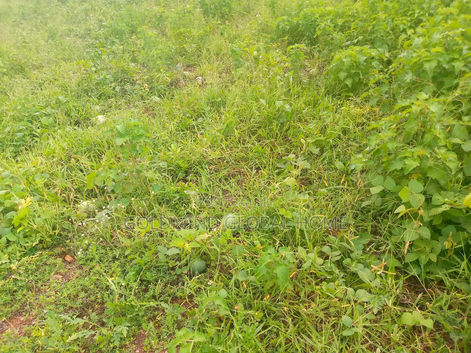 1.09 Hectares for Sale in Mabushi. Abuja - Nigeria in Mabushi