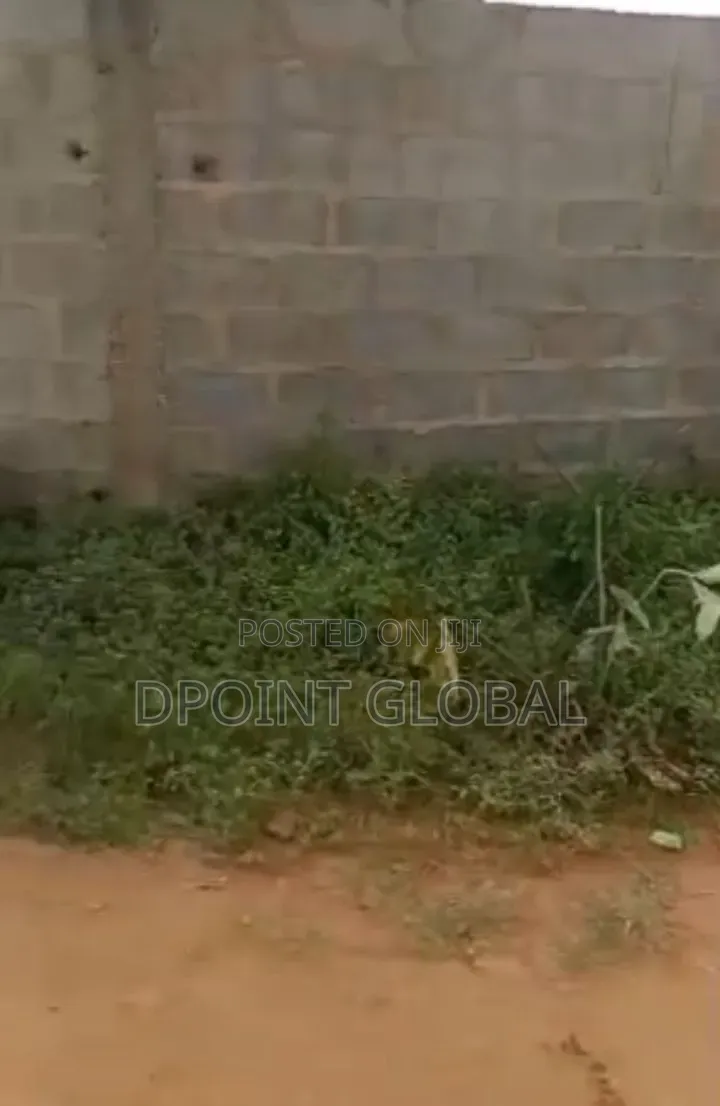 A Half Plot of Land With C of O, Baruwa Inside in Baruwa