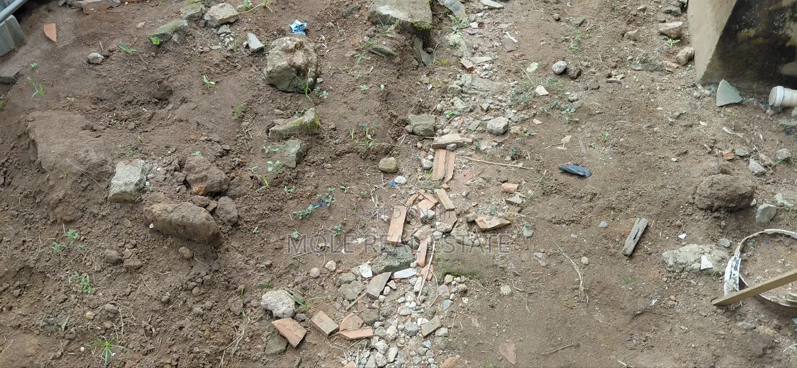 4200sqm Plot Outright Sale Banana Island Ikoyi Lagos in Banana Island