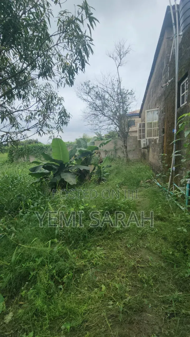 A Standard Plot of Land With a 2 Bedroom Flat in Abule Egba