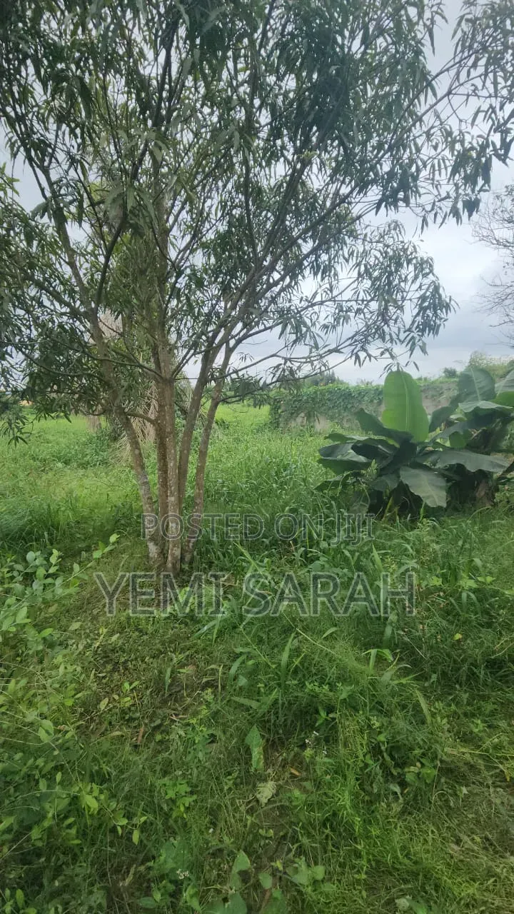 A Standard Plot of Land With a 2 Bedroom Flat in Abule Egba