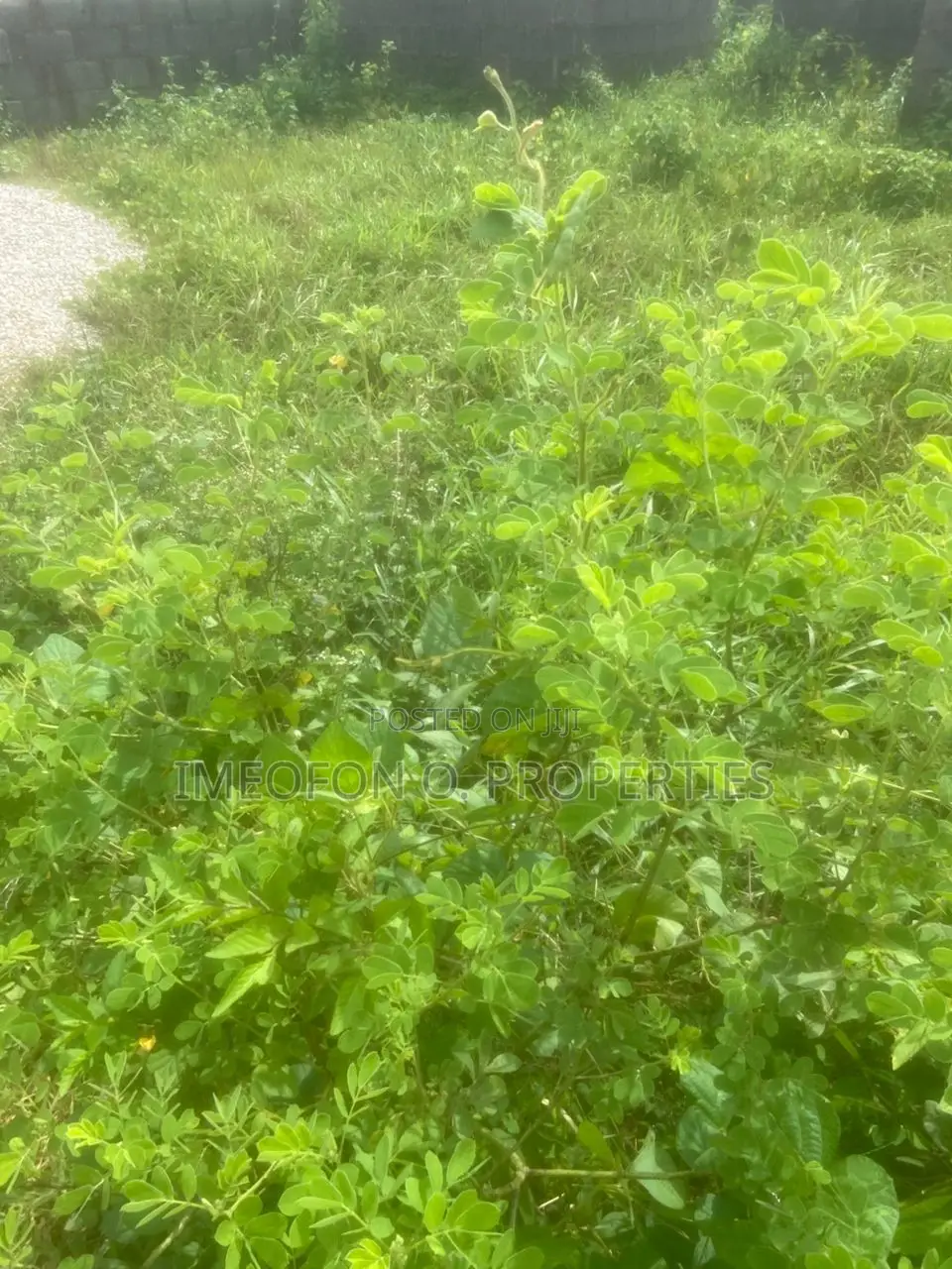 39.72 Hectares of Land for Sale in Maitama