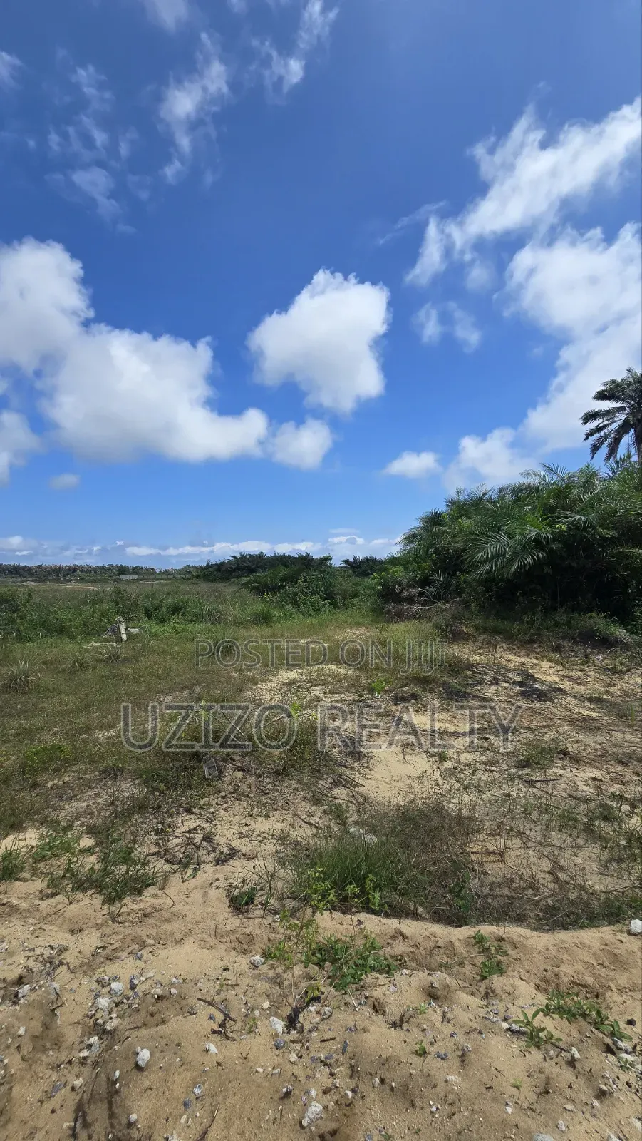 Mixed Development Dry Land in Eleko