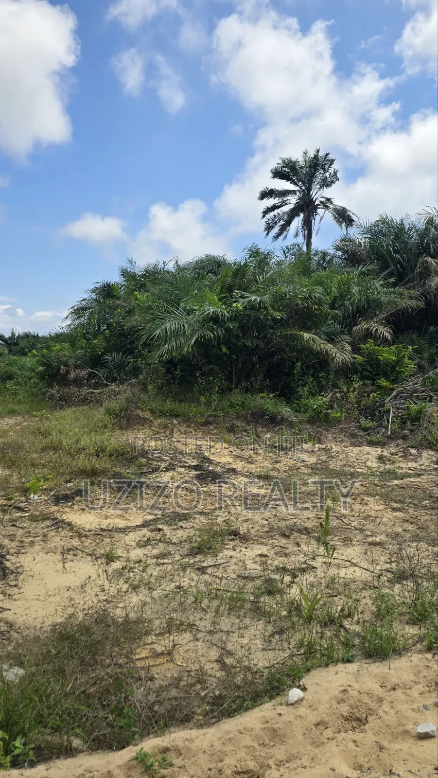 Mixed Development Dry Land in Eleko