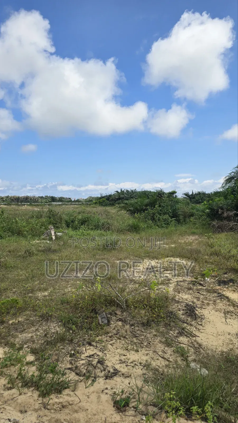 Mixed Development Dry Land in Eleko