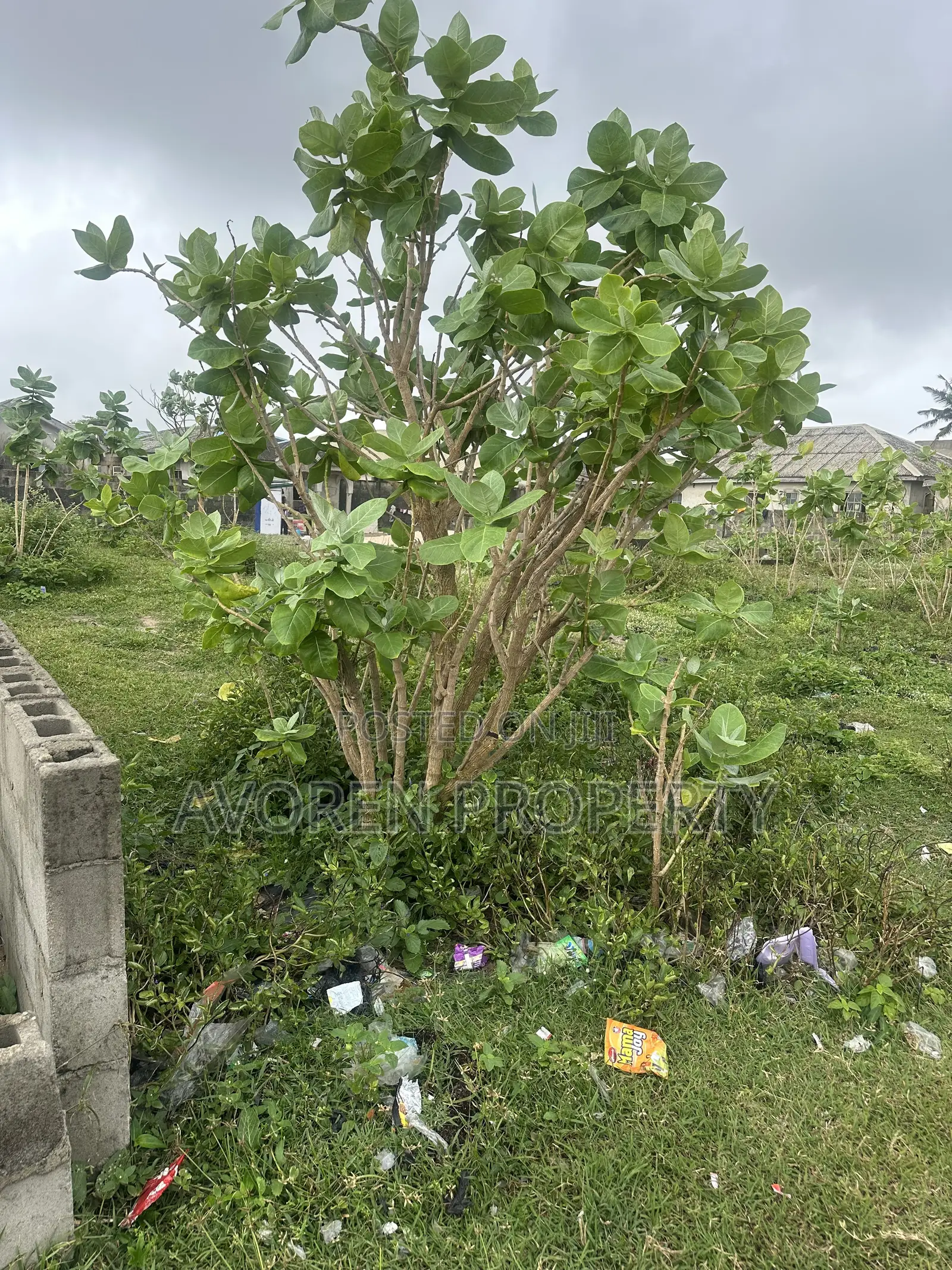 One Plot of Land for Sale at Eleko Beach Side in Ibeju