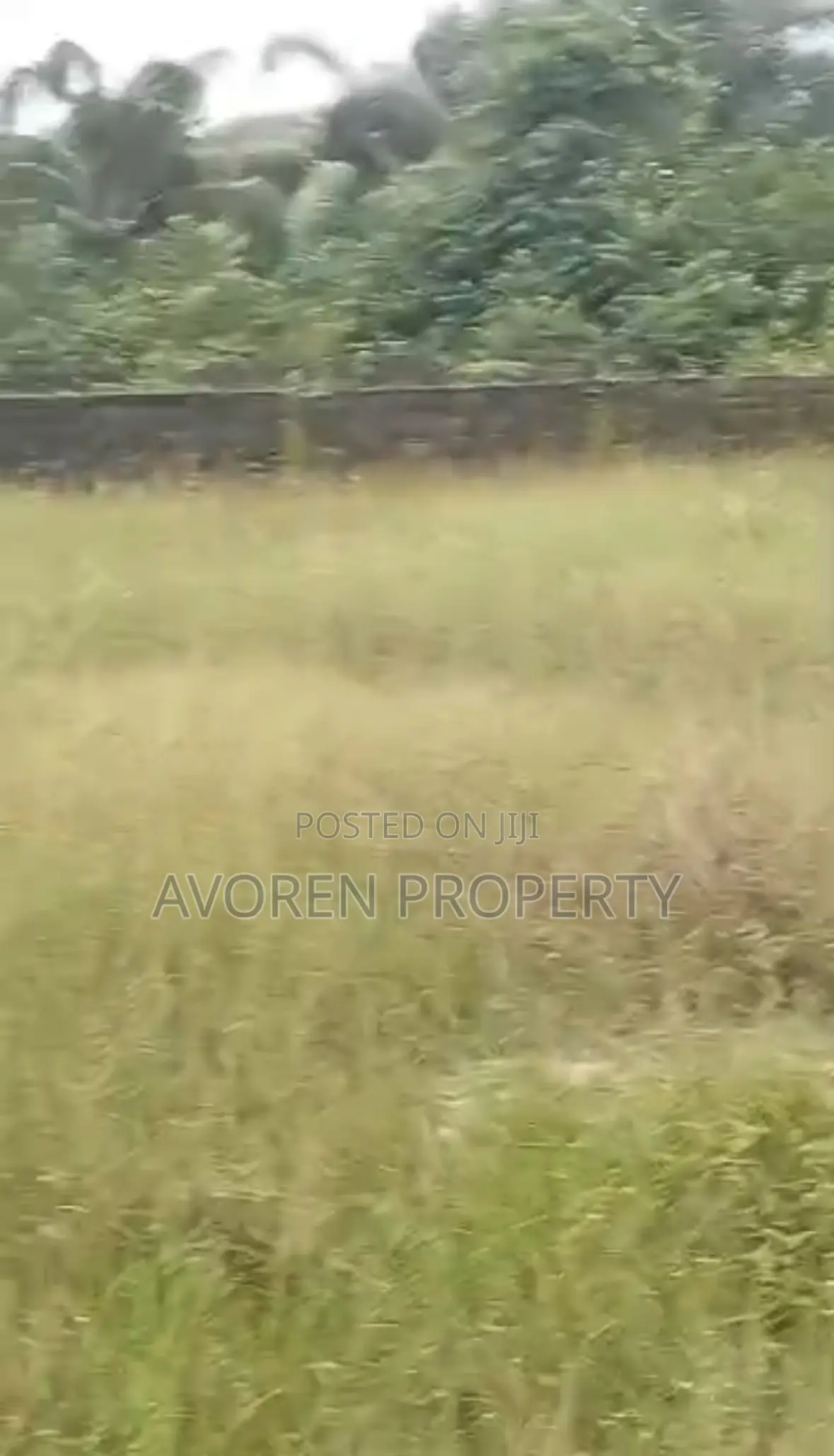 Two Plot of Land for Sale Ibeju (Okegun) in Ibeju