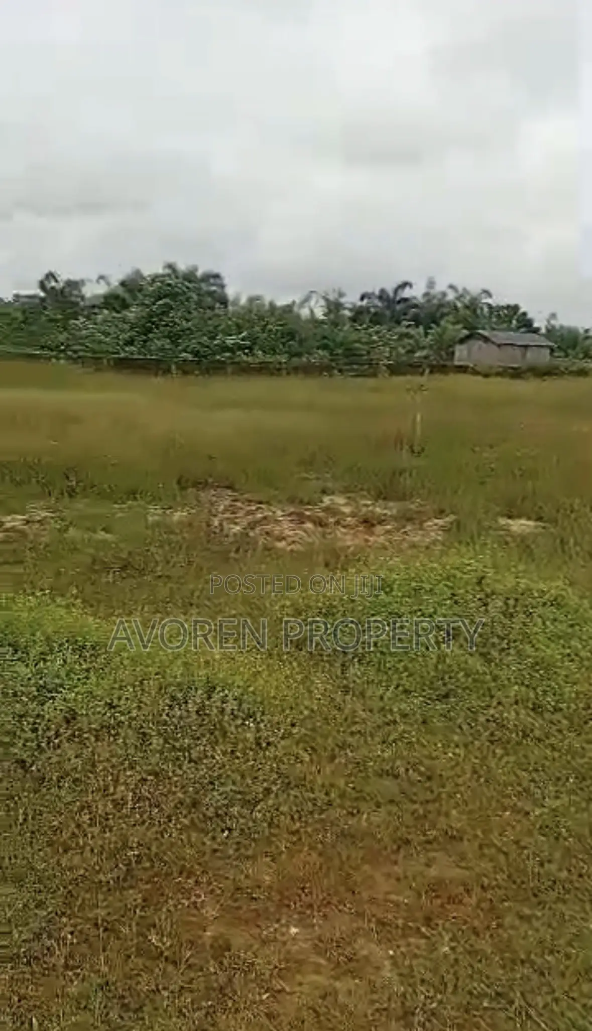 Two Plot of Land for Sale Ibeju (Okegun) in Ibeju