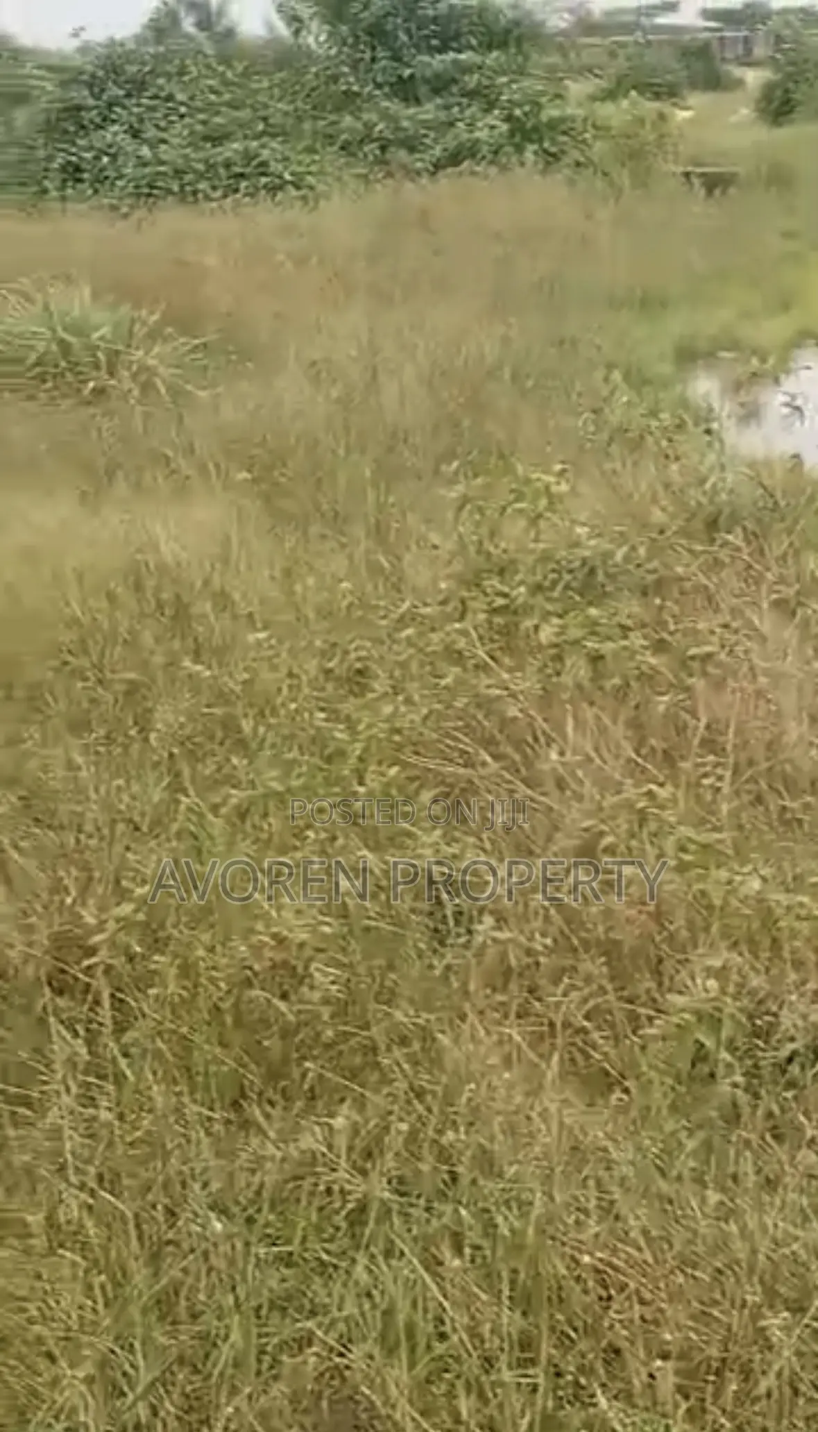 Two Plot of Land for Sale Ibeju (Okegun) in Ibeju