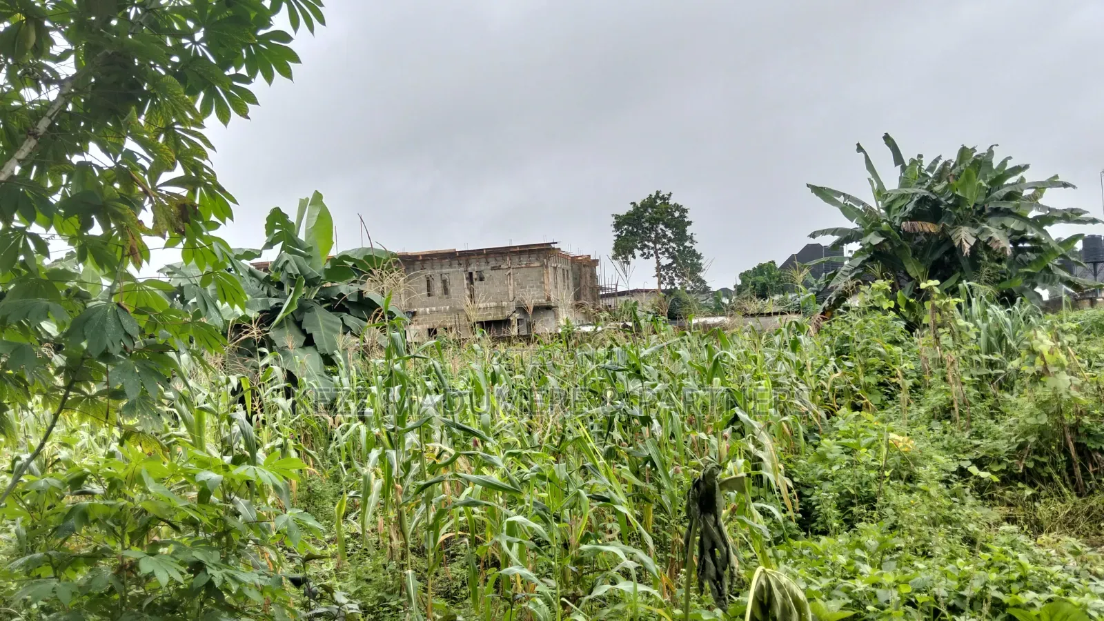 For Sale : 10 Plots , 1 Pole Off Major Sars Road, Ph in New Layout