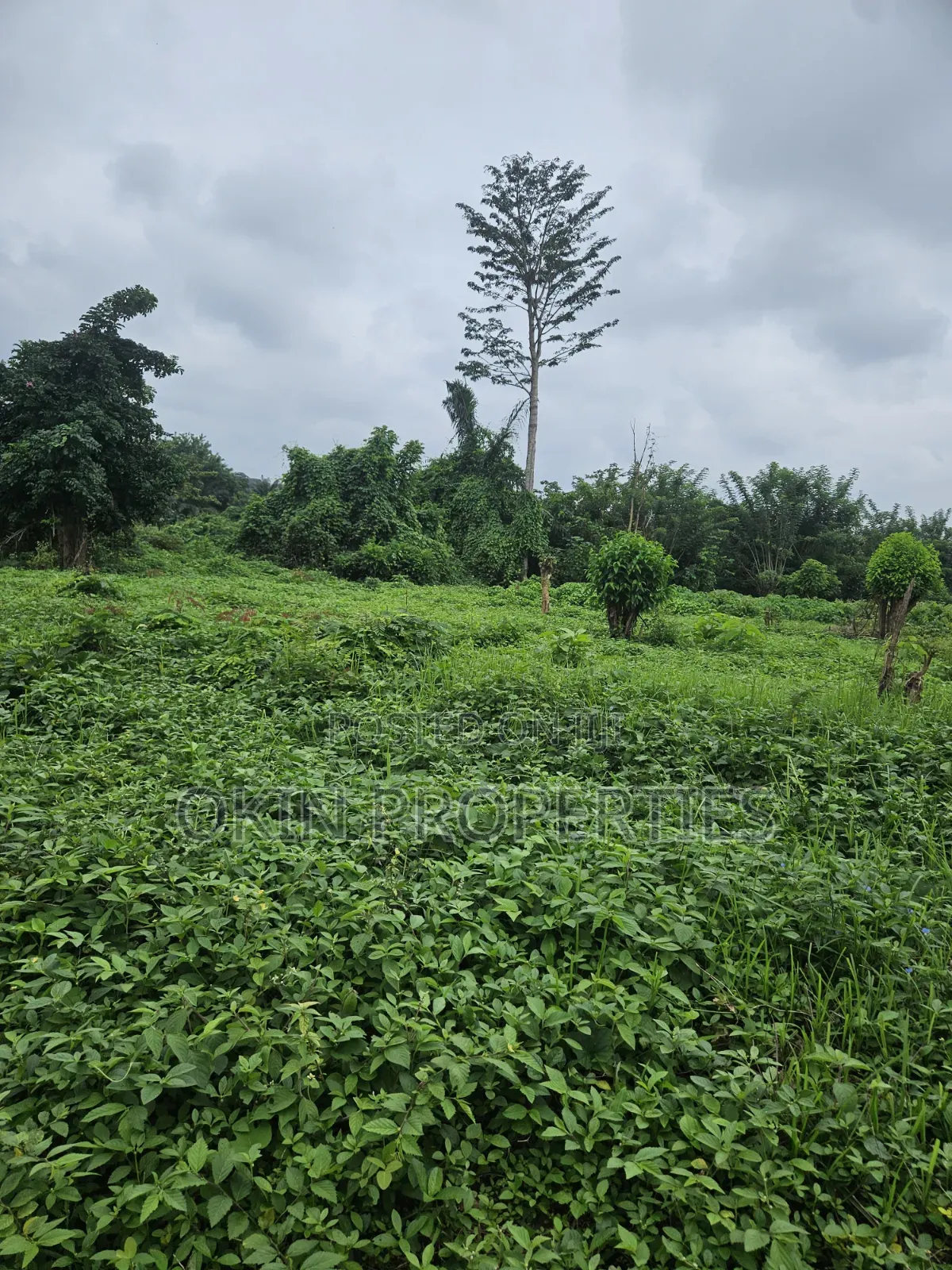 5 Plots of  Land Behind GTB Ogooluwa in Osogbo