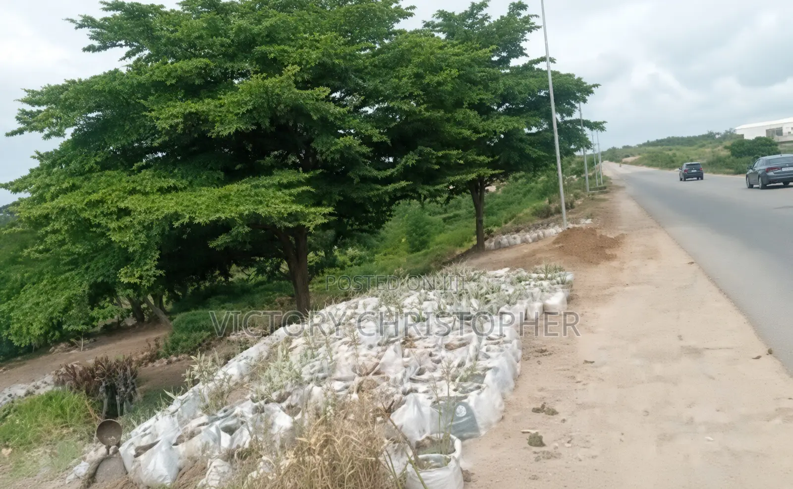 1.81 Hectares Mixed Use Land in Idu