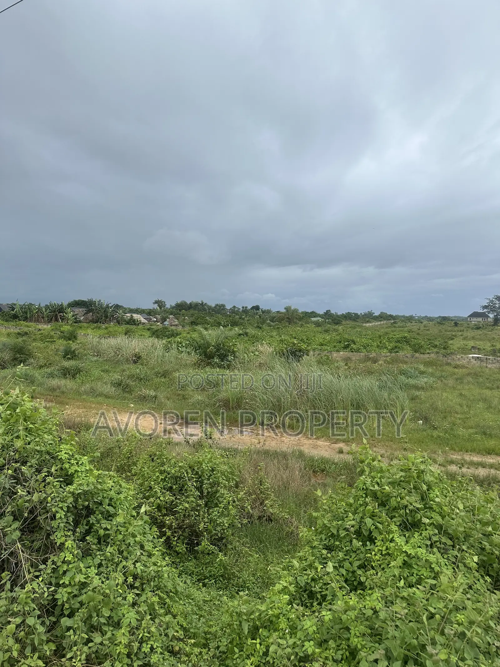 75 Plot of Land for Sale Elerangbe Facing Lekki Epe Express Way in Ibeju