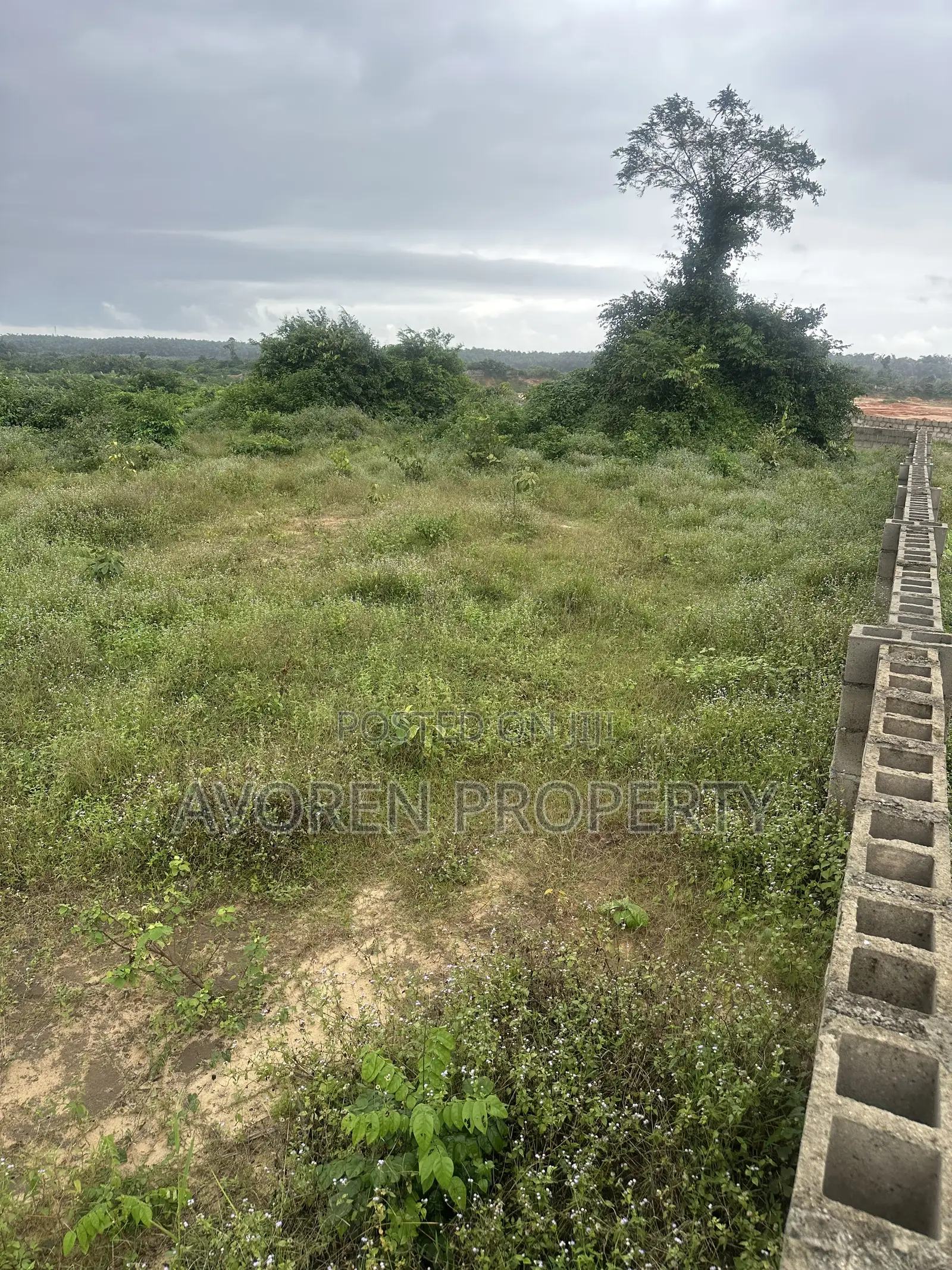 5 Hectares for Sale in Elerangbe Ibeju Lekki in Ibeju