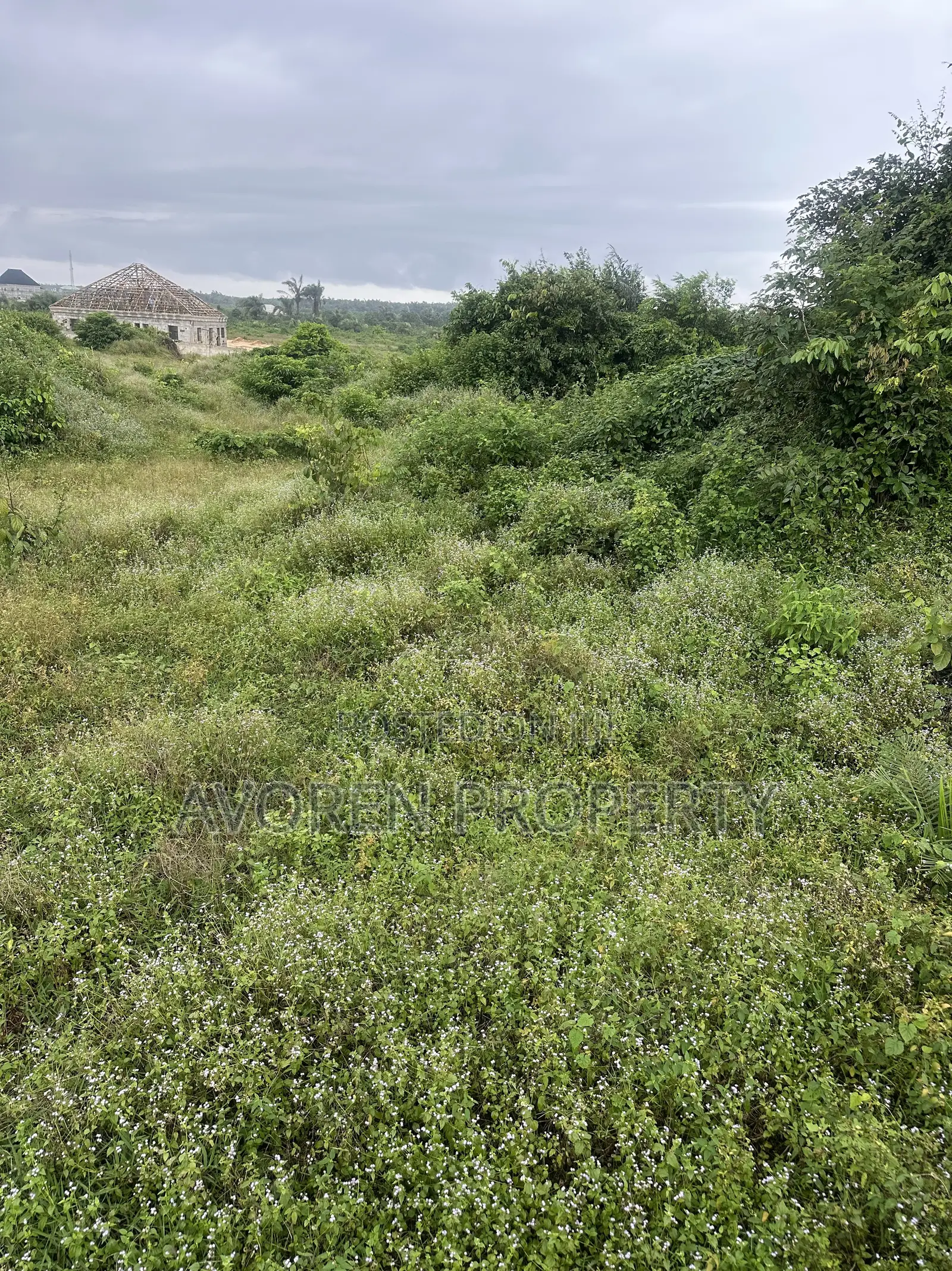 5 Hectares for Sale in Elerangbe Ibeju Lekki in Ibeju