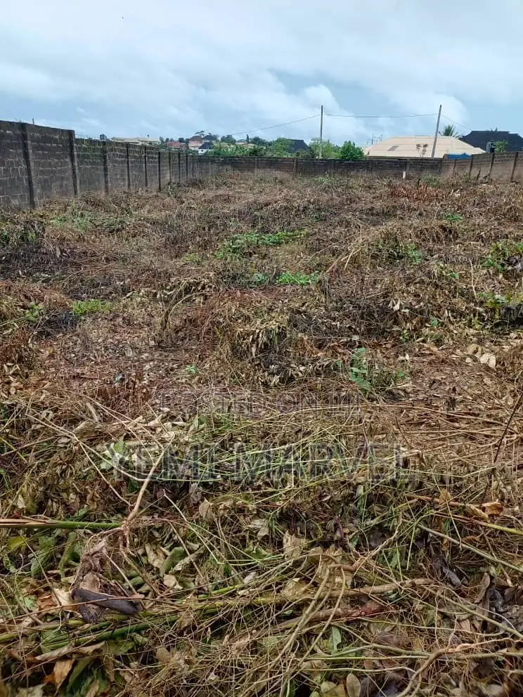 Fenced and Gated 3 Plots of Corner Piece Land at Akobo Ojurin in Akobo