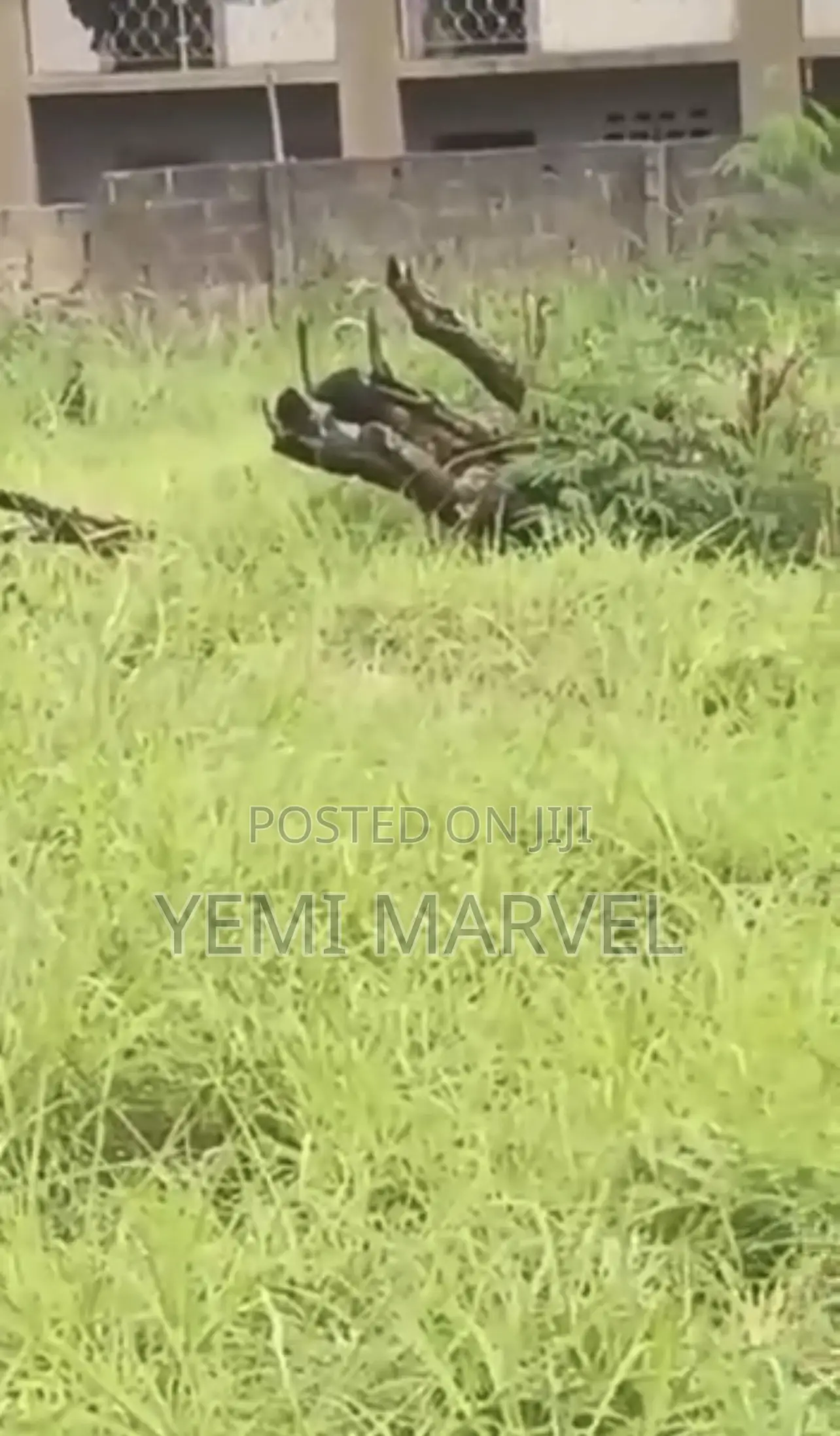 932sqm (2 Plots) of Land With C of O at New Bodija, Ibadan in Bodija