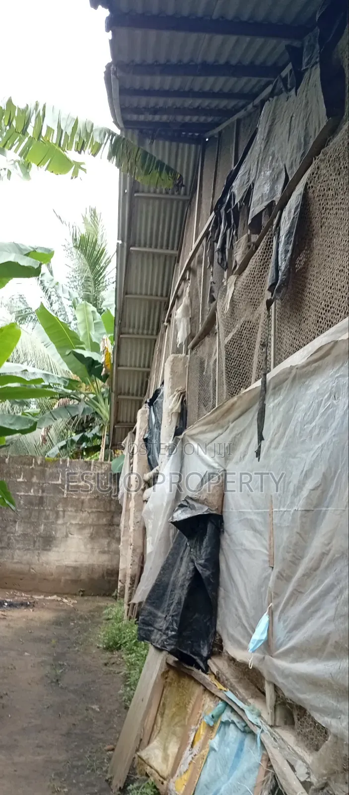 Distress Poultry Farm for Sale in Uyo