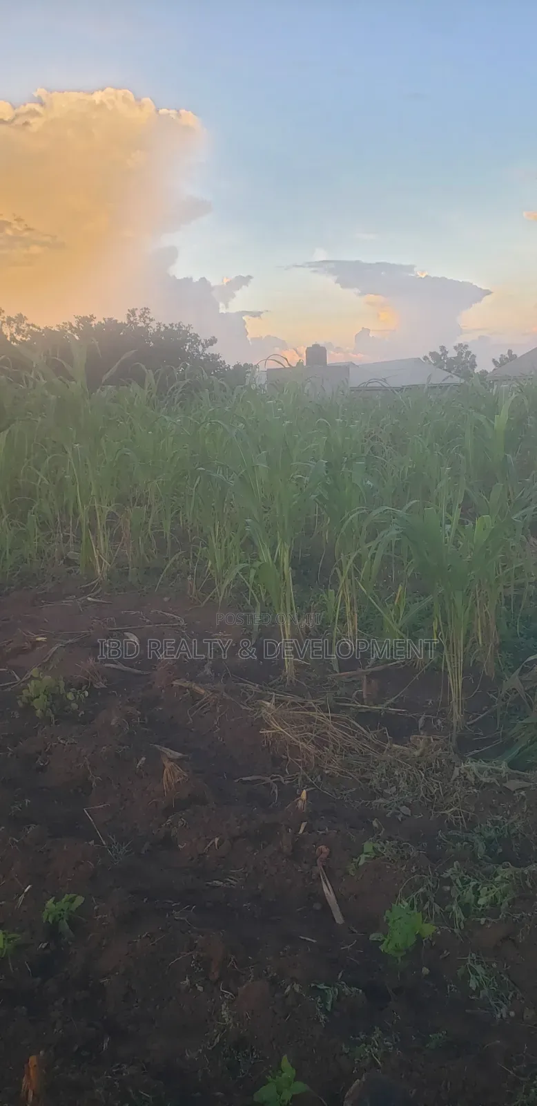 Two Plot of Land in Moro