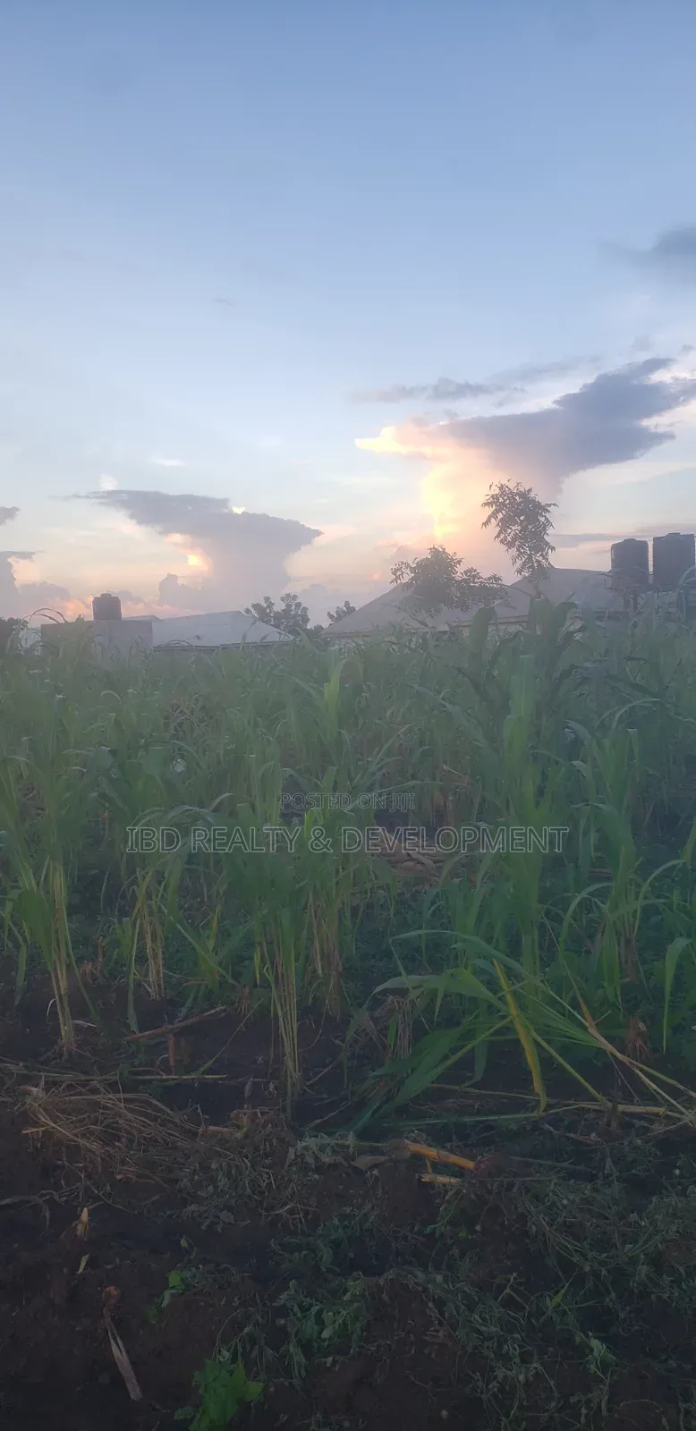 Two Plot of Land in Moro
