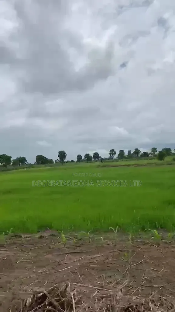 Affordable Farmland for Sale in Ifite-Ogwari, Anambra- ₦1.9M Per Plot in Ayamelum