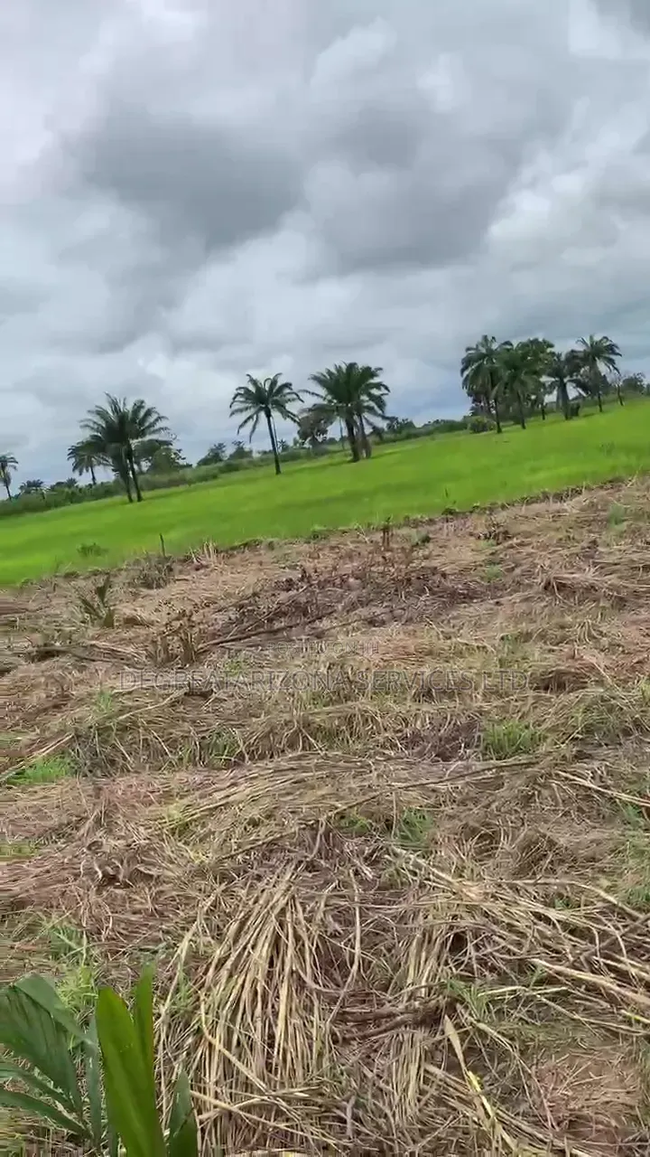 Affordable Farmland for Sale in Ifite-Ogwari, Anambra- ₦1.9M Per Plot in Ayamelum