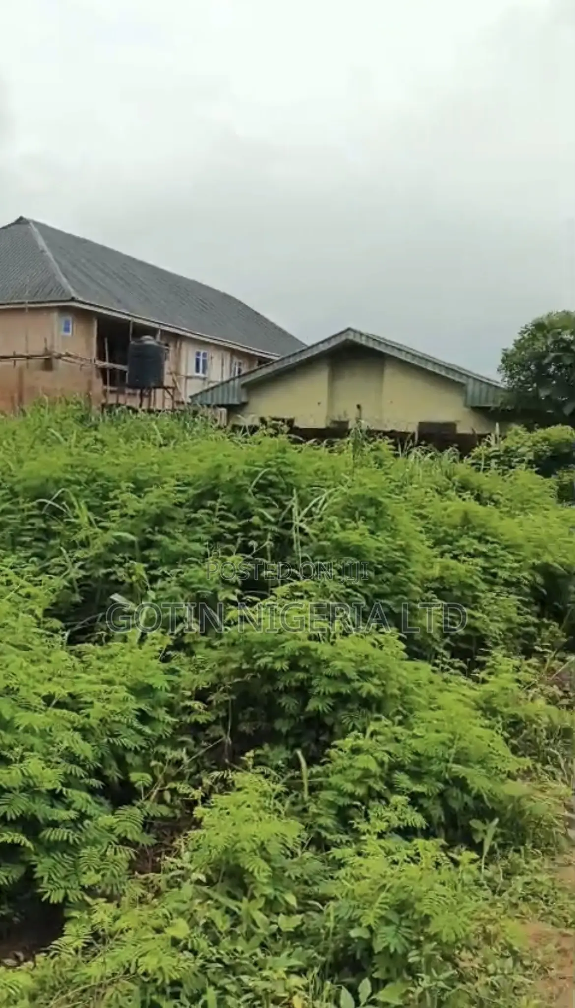 100×100ft Land at BDPA Off Lucky Street in Benin City
