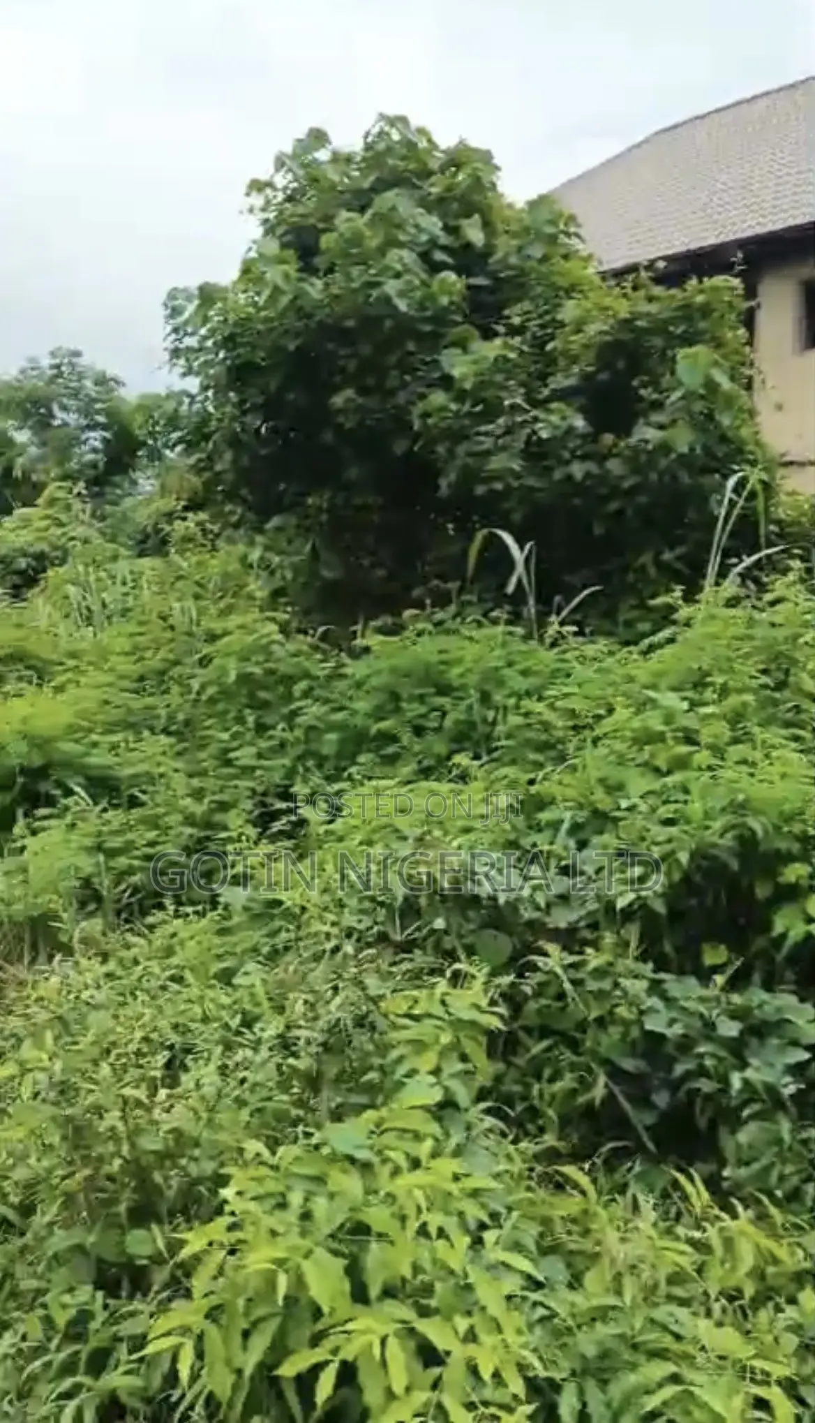 100×100ft Land at BDPA Off Lucky Street in Benin City