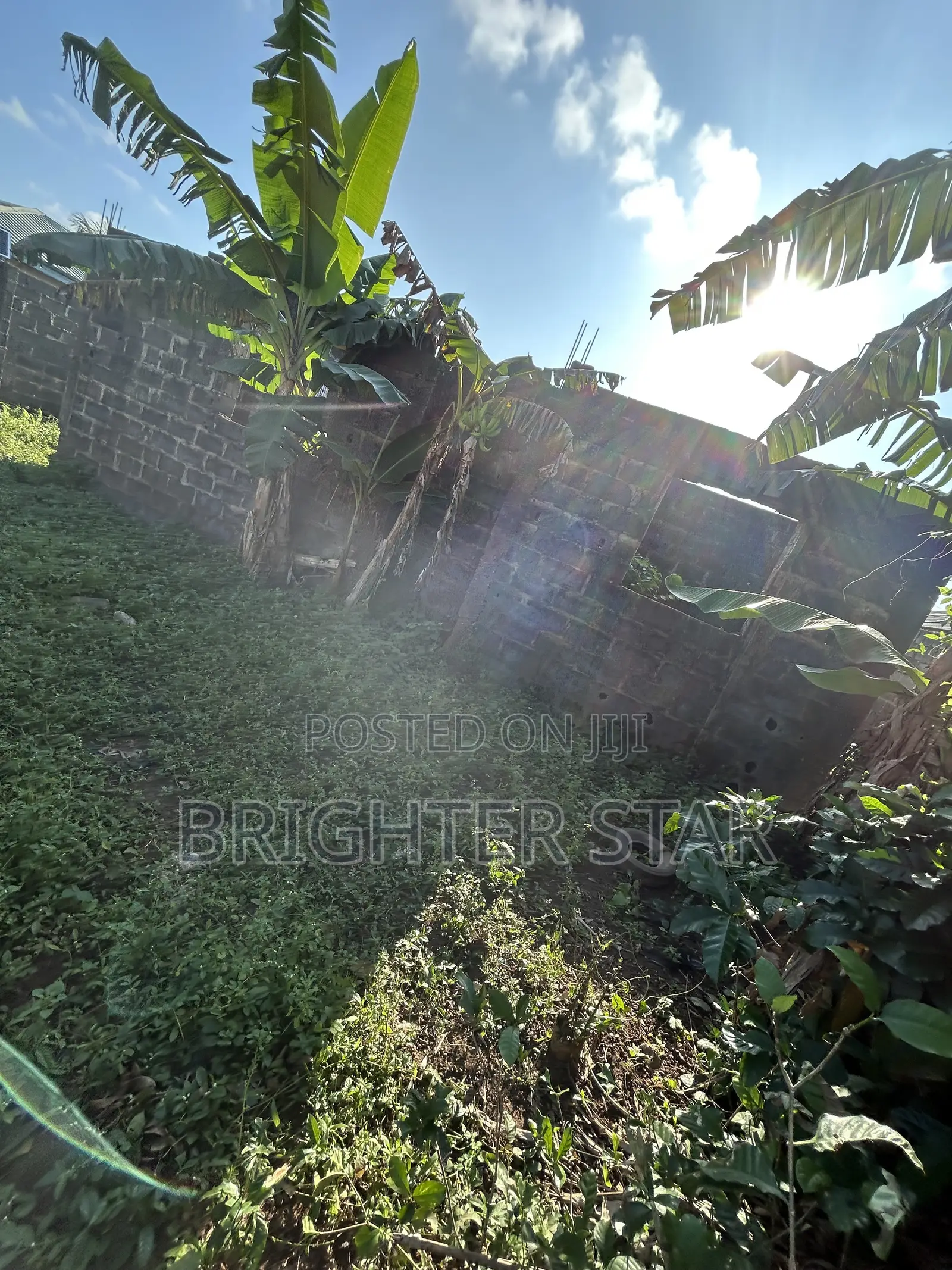 1bdrm Block of Flats in Ayobo for sale in Ayobo