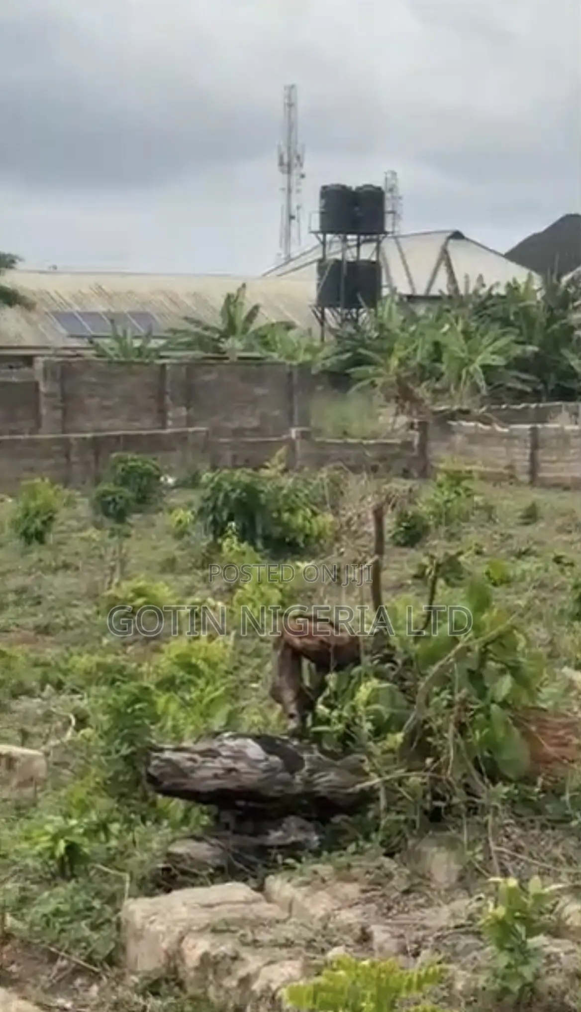 Fenced 100×100ft Corner Plot at Aruogba, Airport Road in Benin City
