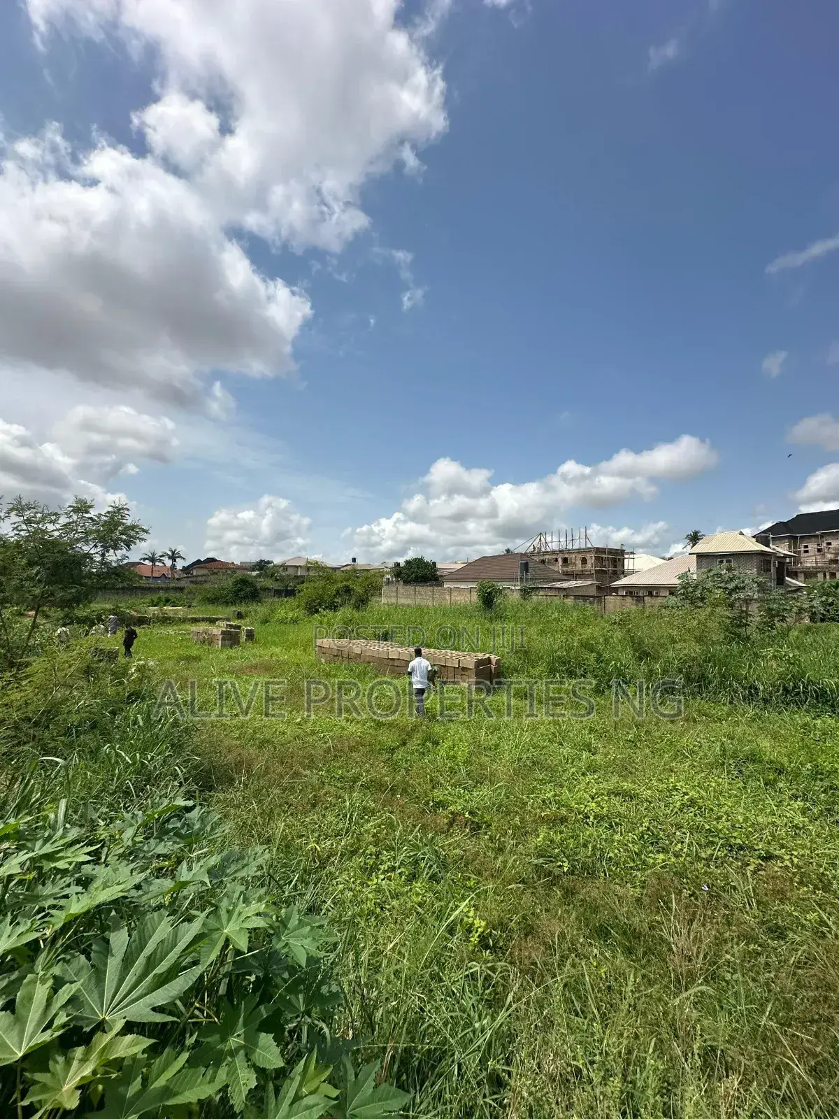 Prime Land for Sale- Olusoji Estate,Oluyole Estate Extension in Oluyole