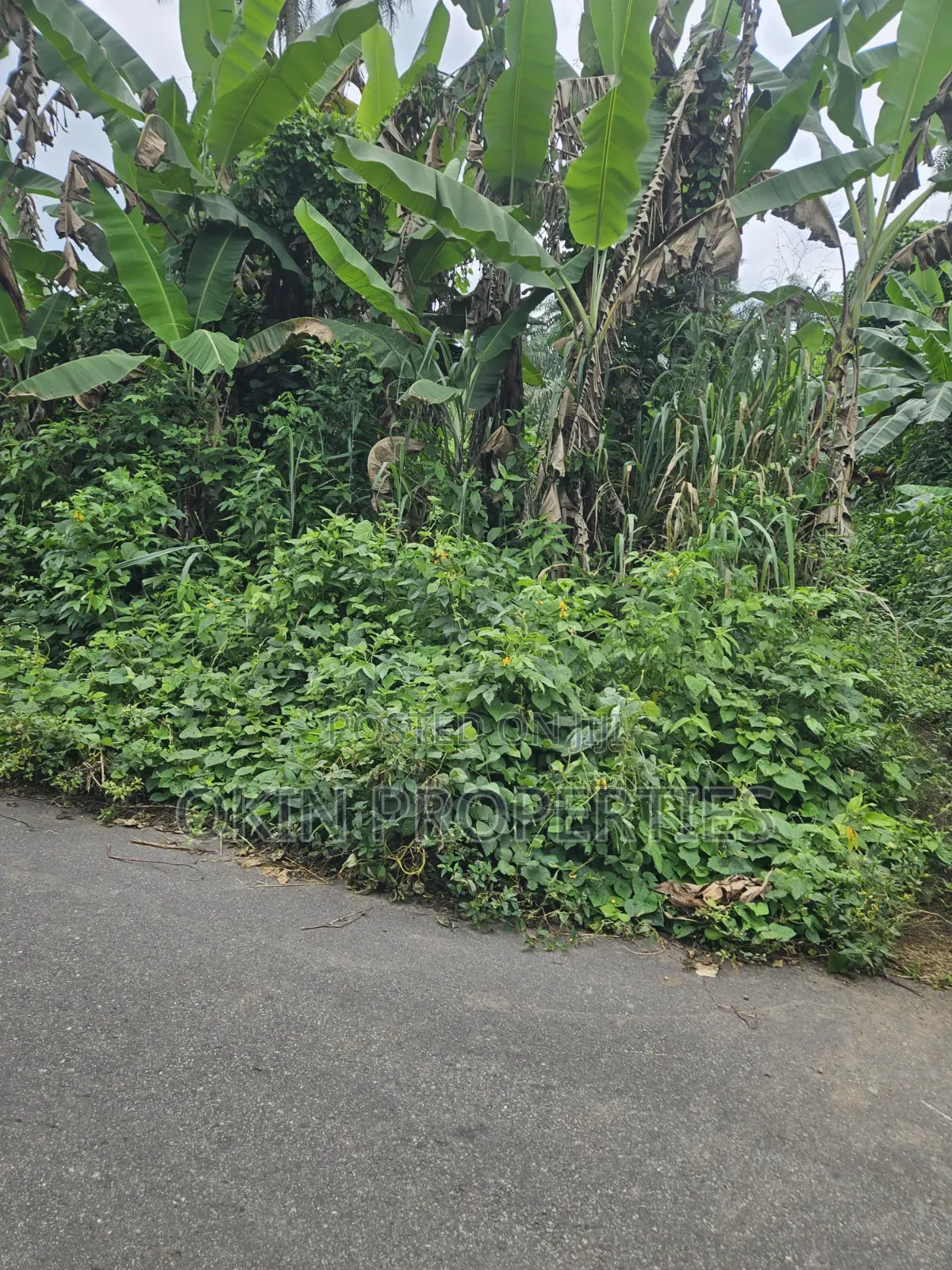 250 Acres of Land at Iragbiji in Osogbo