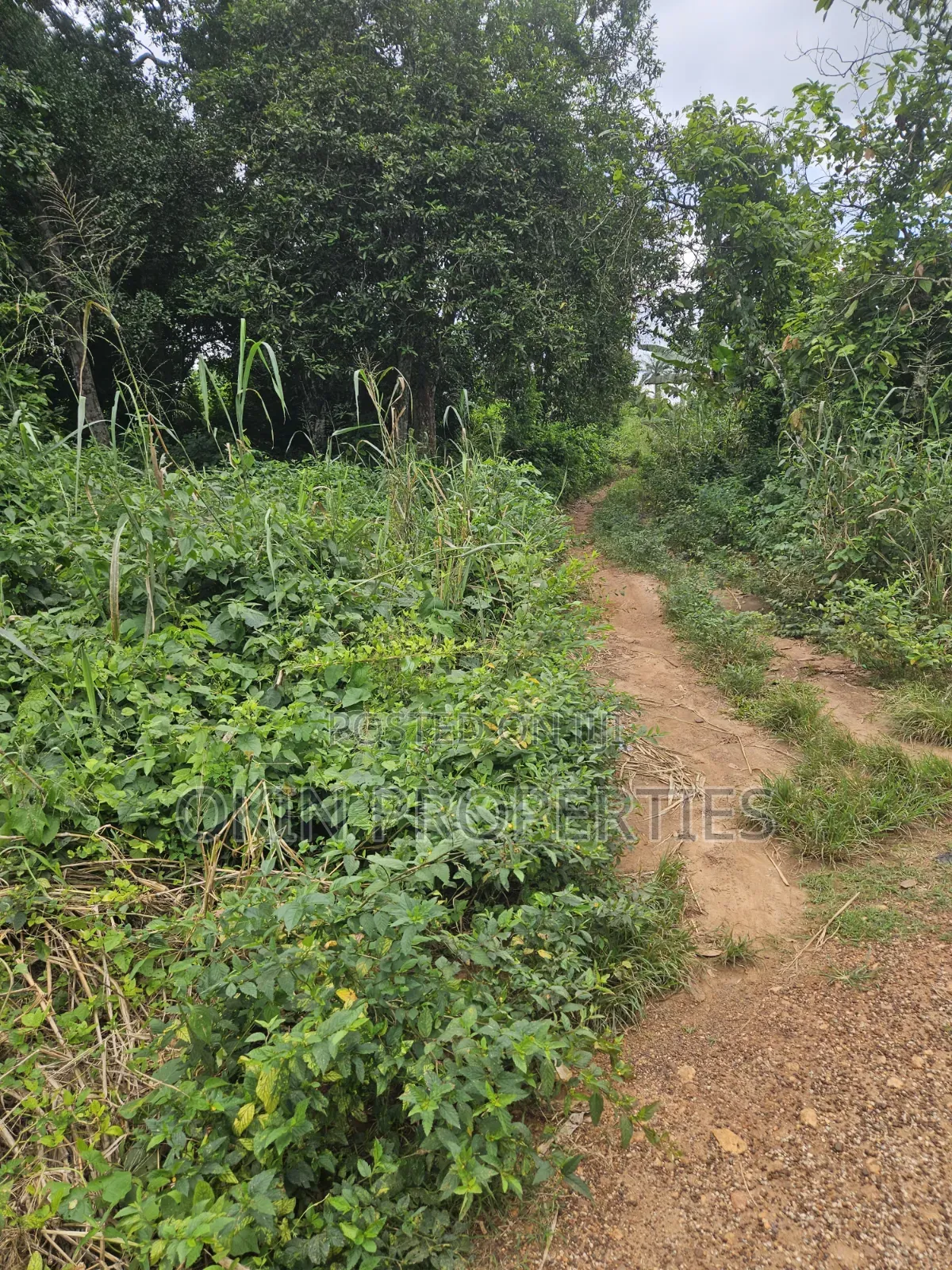 250 Acres of Land at Iragbiji in Osogbo