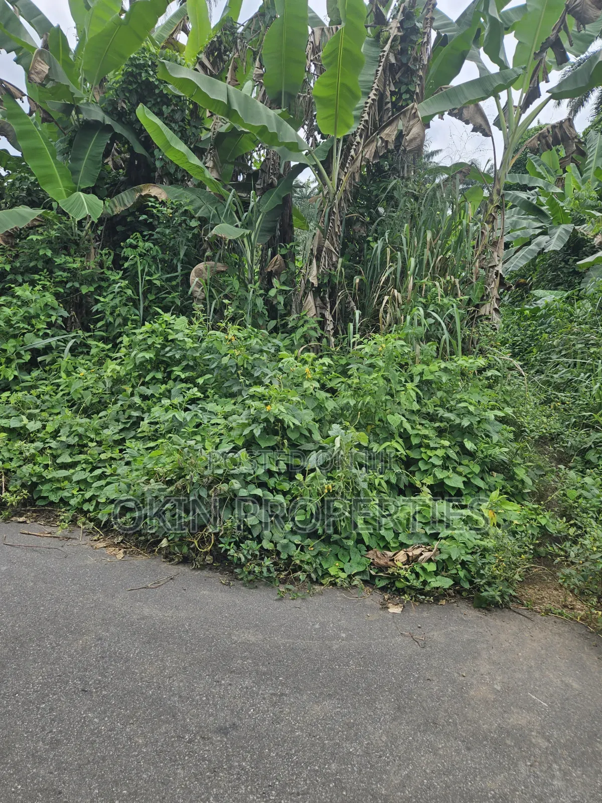 105 Acres of Land Iragbiji in Osogbo