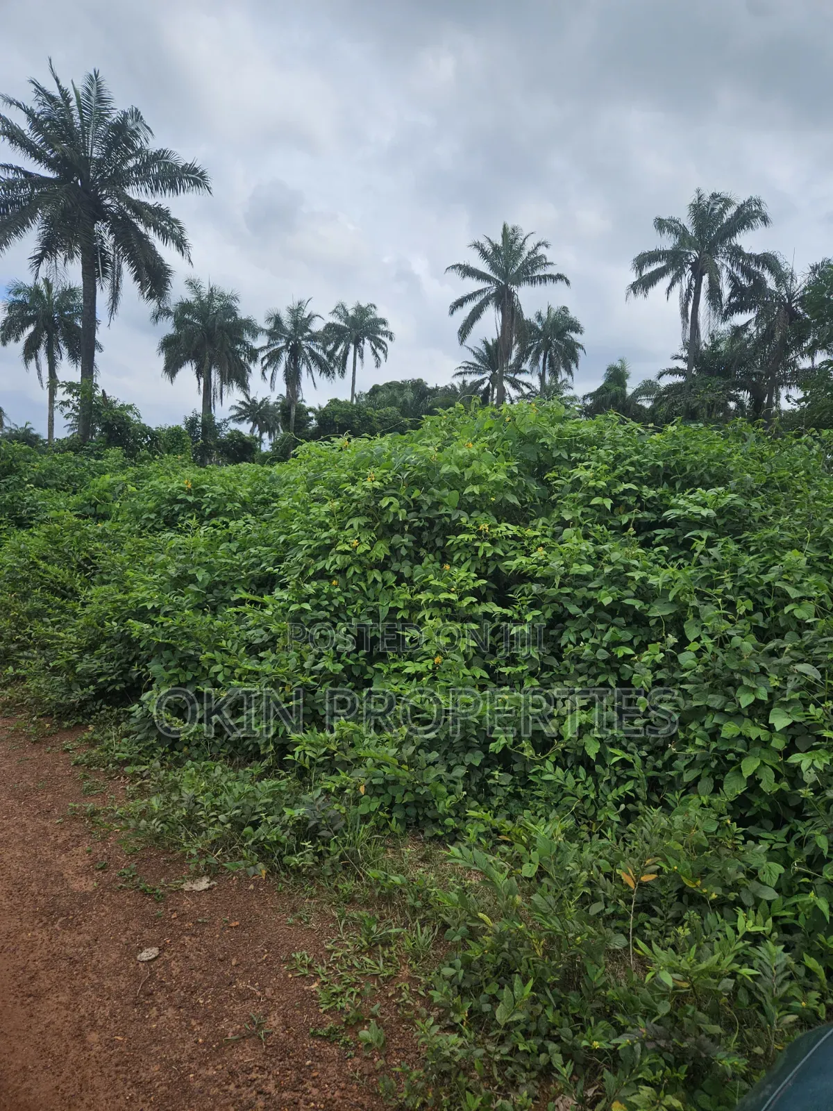 8 Acres of Land at Oore Village in Osogbo