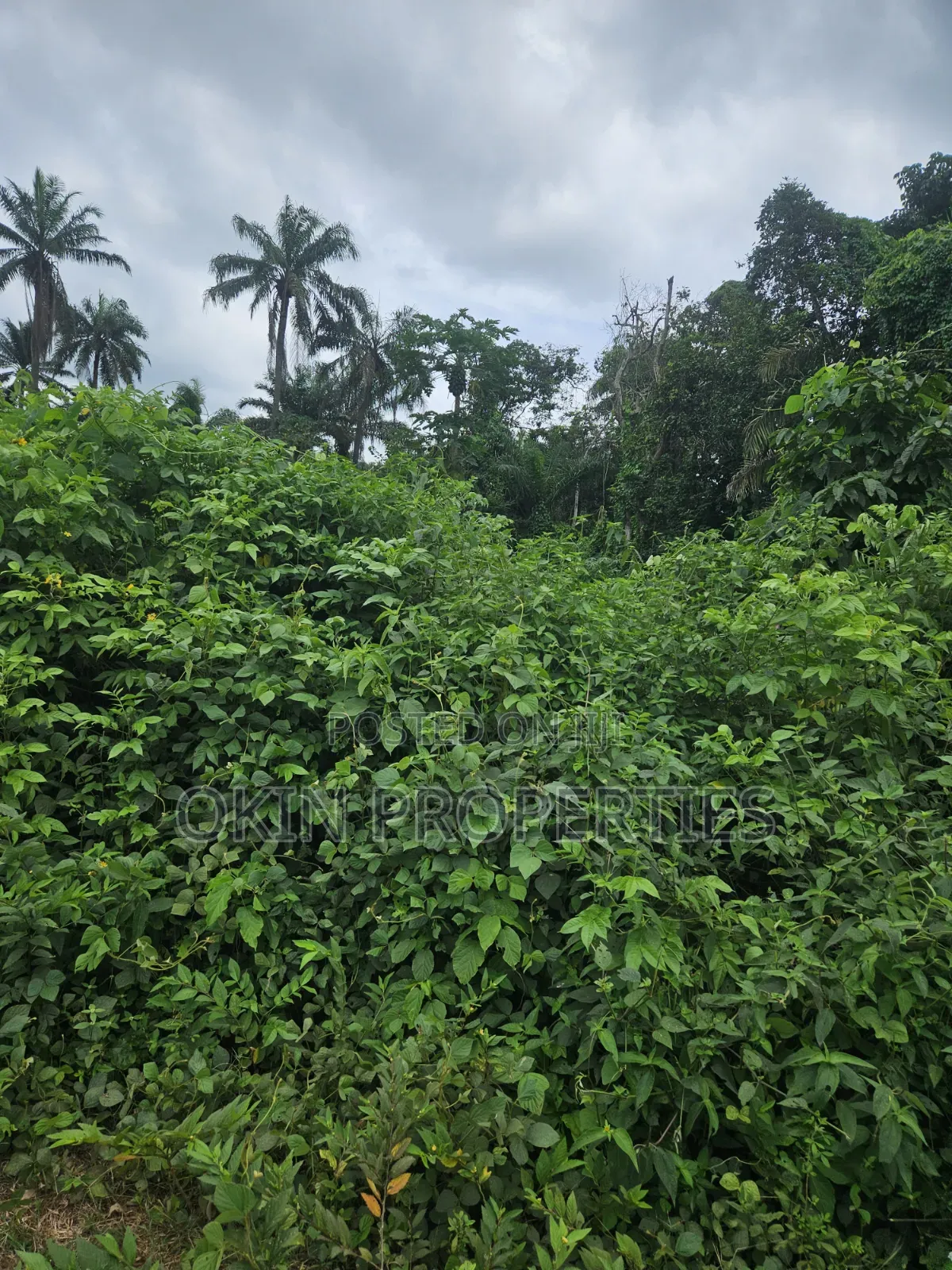 8 Acres of Land at Oore Village in Osogbo