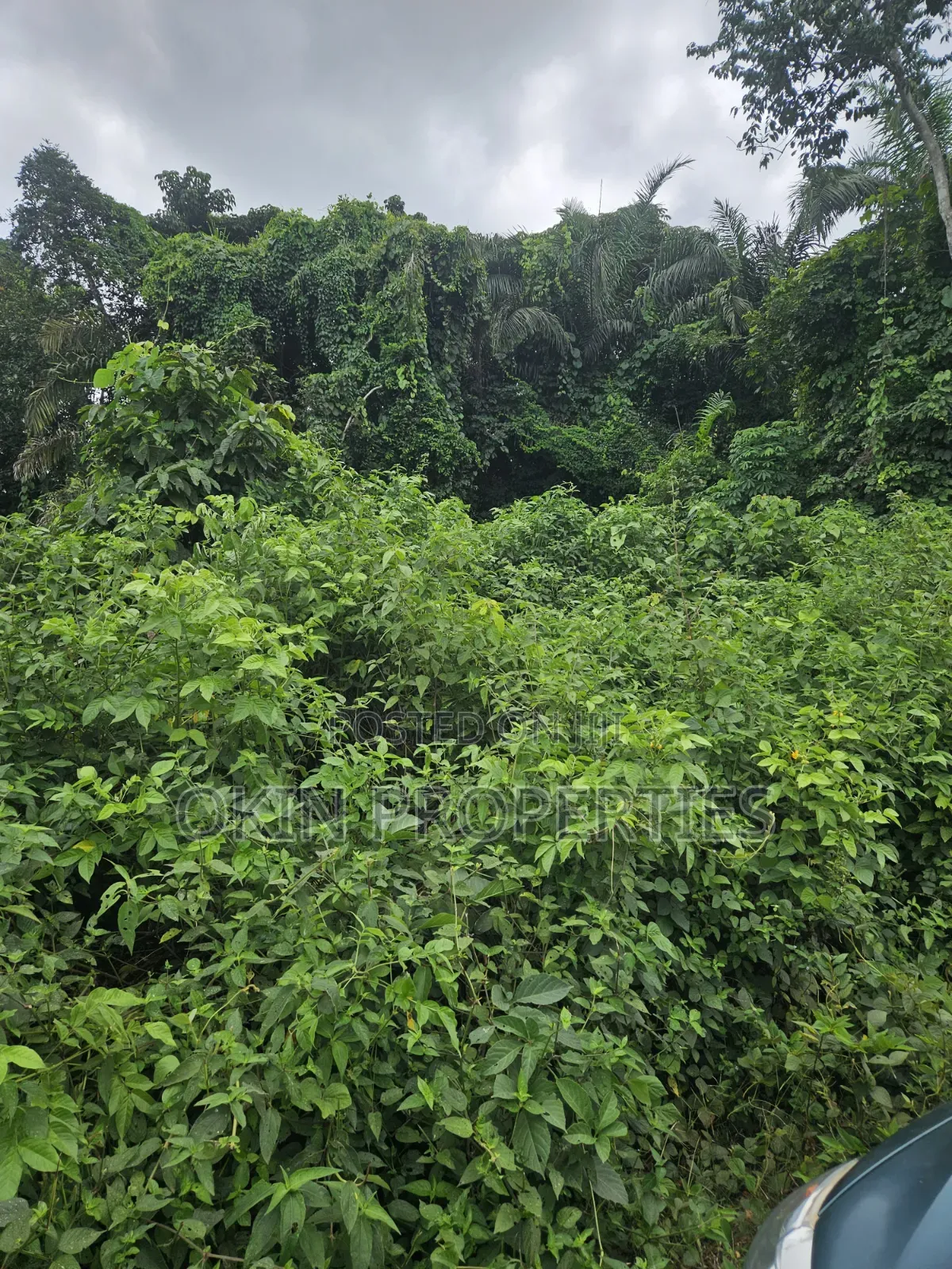 2000 Acres of Land at Faforiji in Osogbo