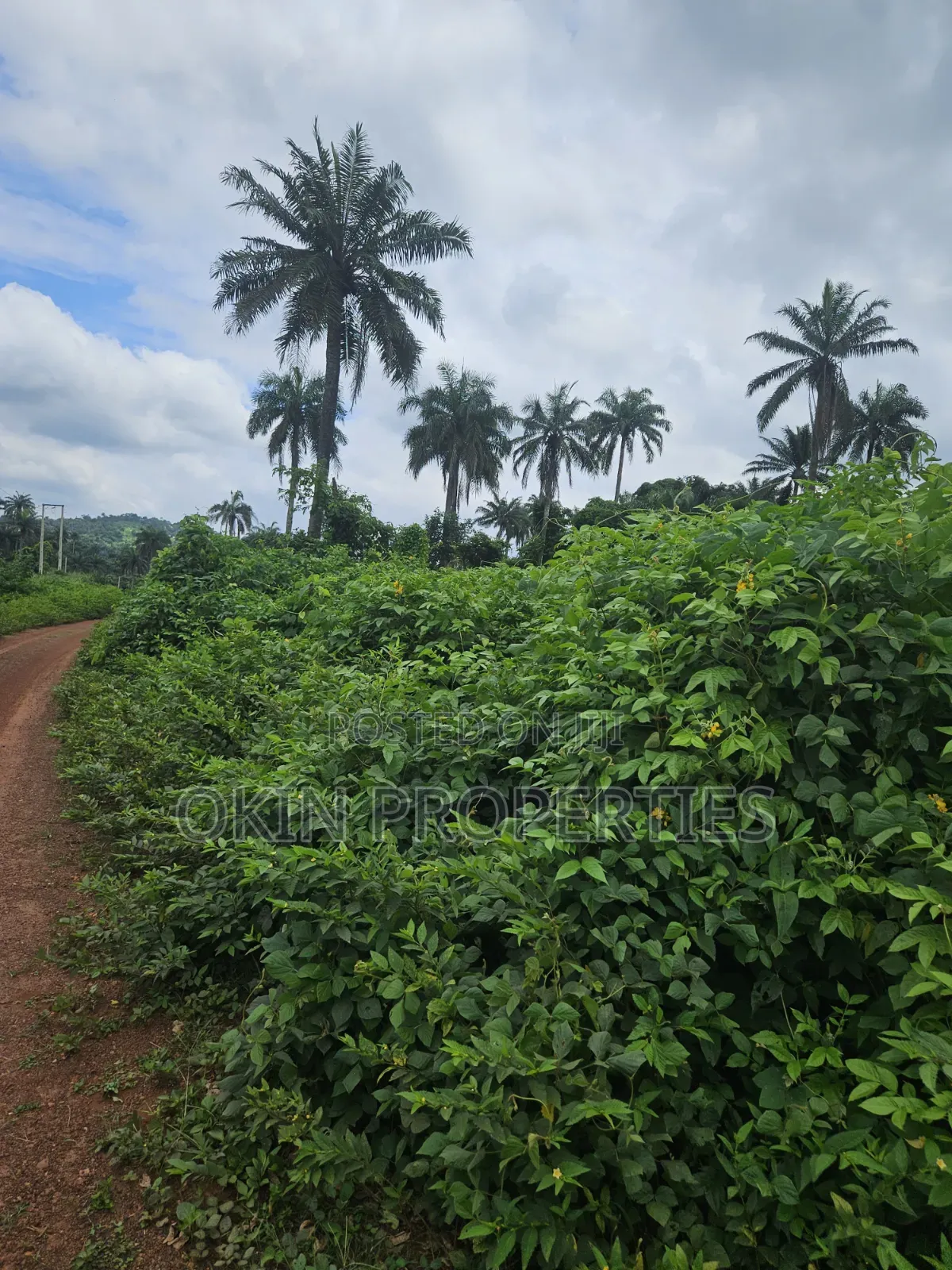 2000 Acres of Land at Faforiji in Osogbo