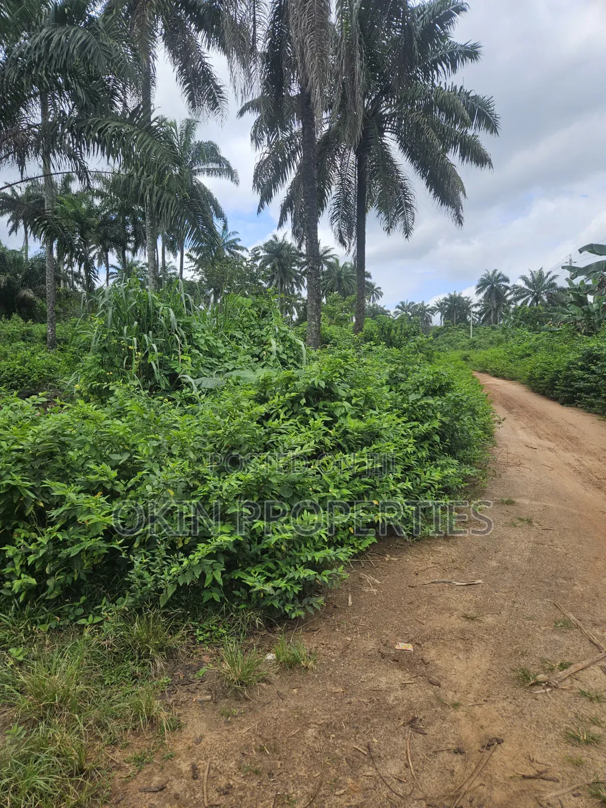 500 Acres at Araromi Okeodo in Osogbo