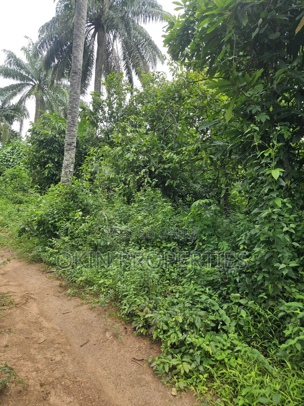 2100 Acres at Agbora Village Along Ikire Iwo Road in Osogbo