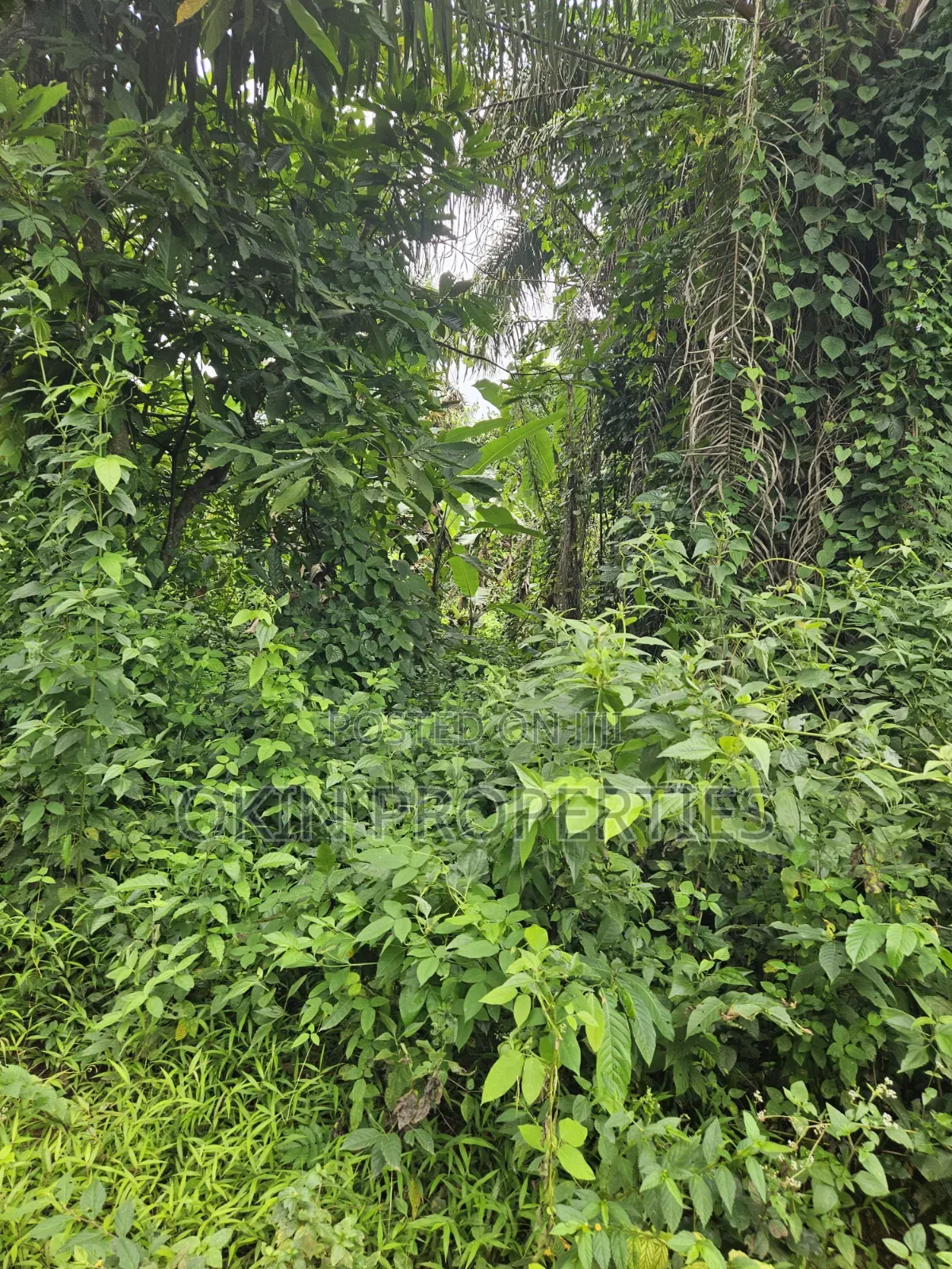 2100 Acres at Agbora Village Along Ikire Iwo Road in Osogbo