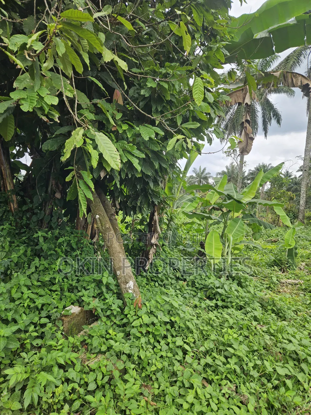1000 Acres of Virgin Land at Oloode via Ifetedo in Osogbo