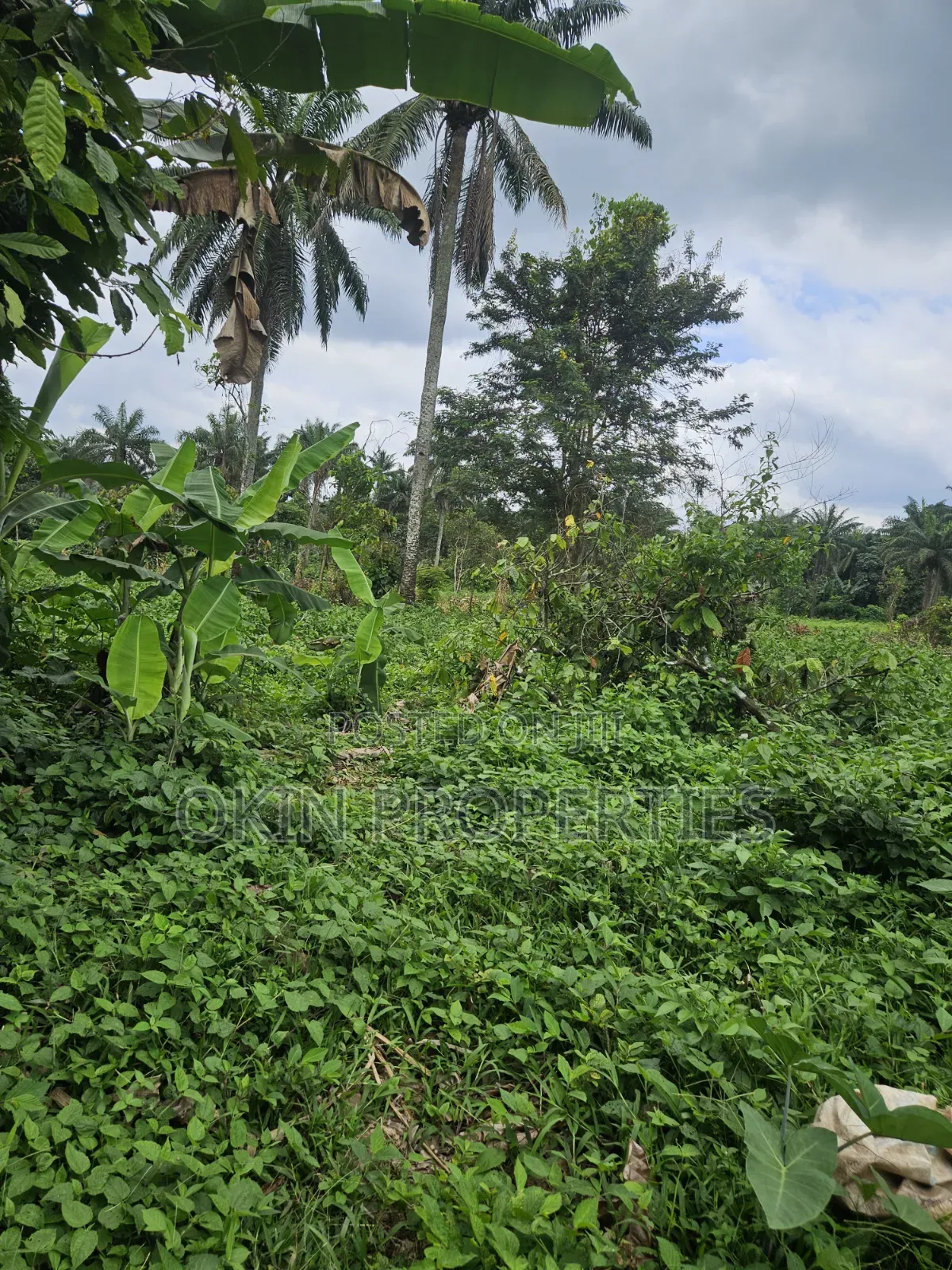 1000 Acres of Virgin Land at Oloode via Ifetedo in Osogbo