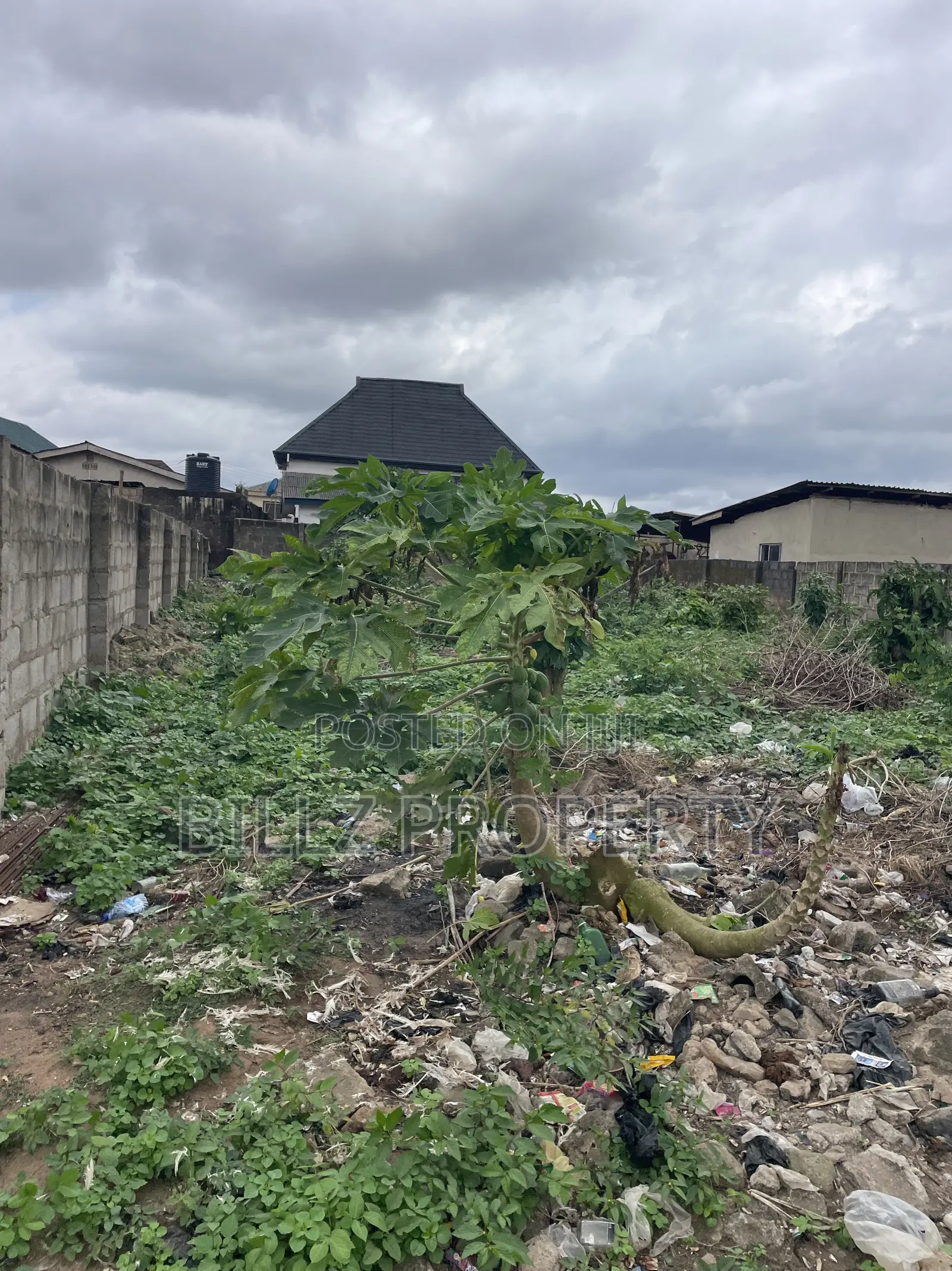 A Standard Half Plot of Land in a Serene and Quiet Environment in Abule Egba
