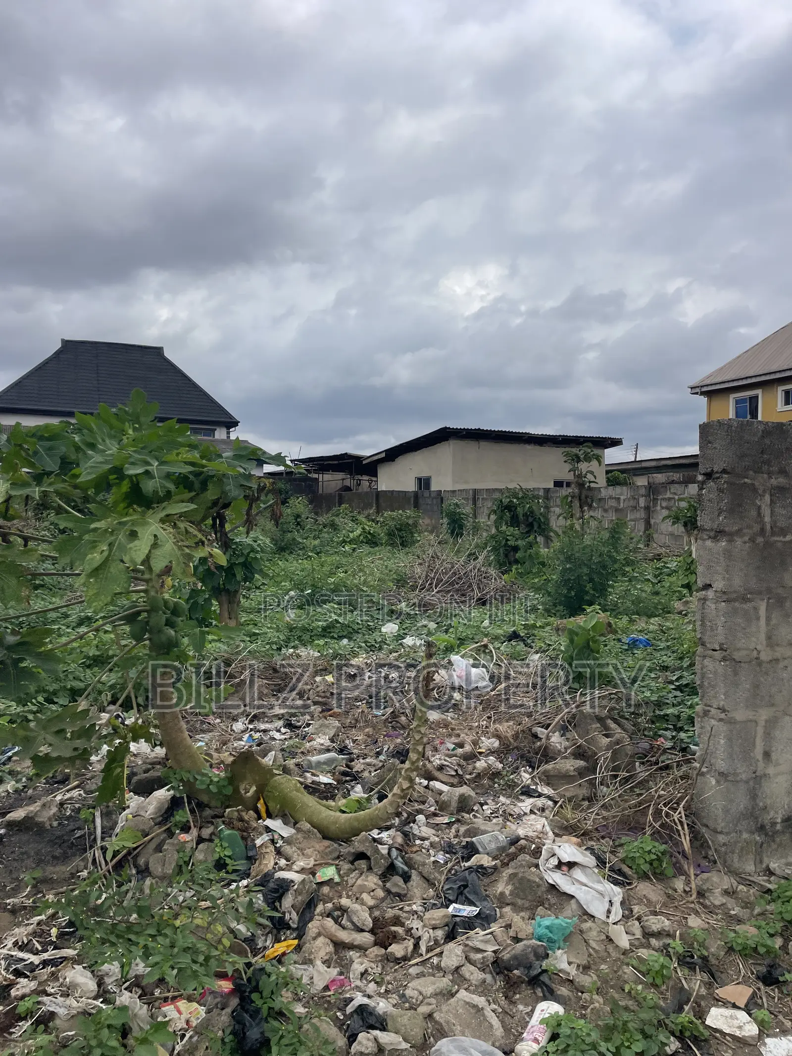 A Standard Half Plot of Land in a Serene and Quiet Environment in Abule Egba