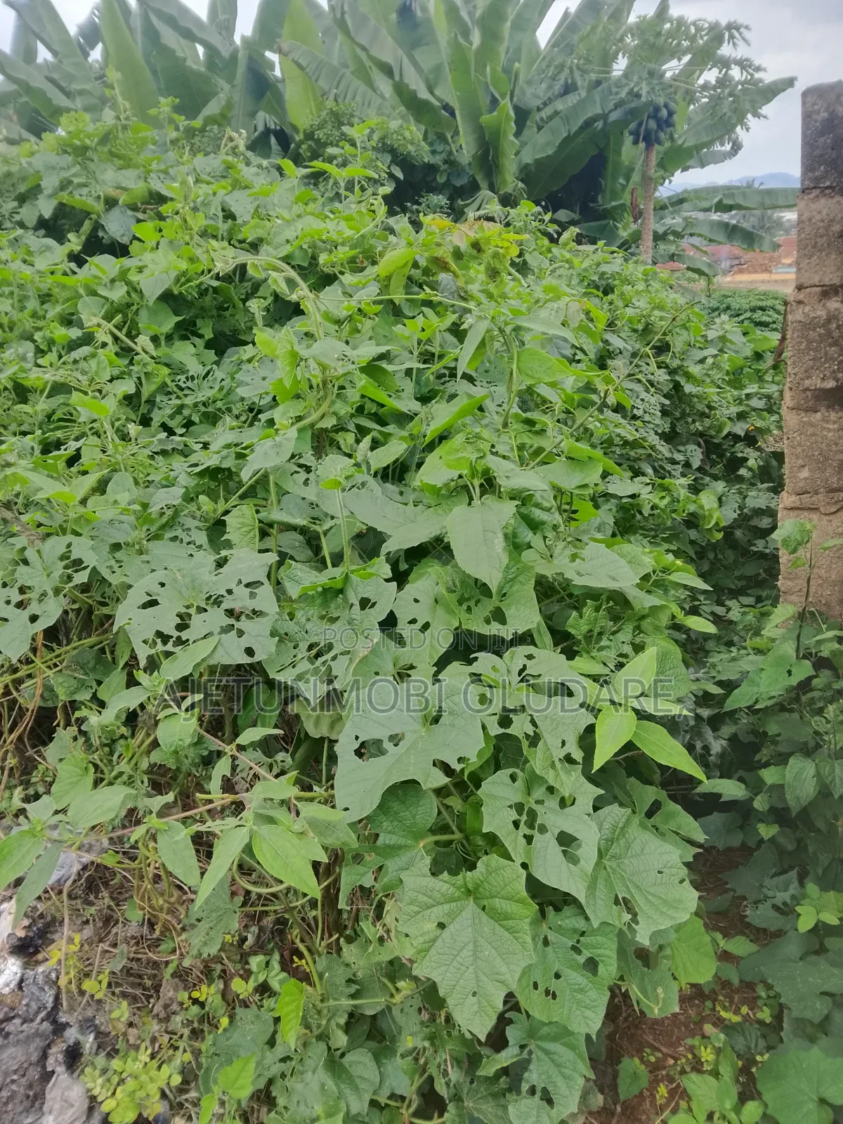 1 Plot/60 by 120,/for Sale/Old Local Government,odo Ado Ekiti,7m in Ado Ekiti